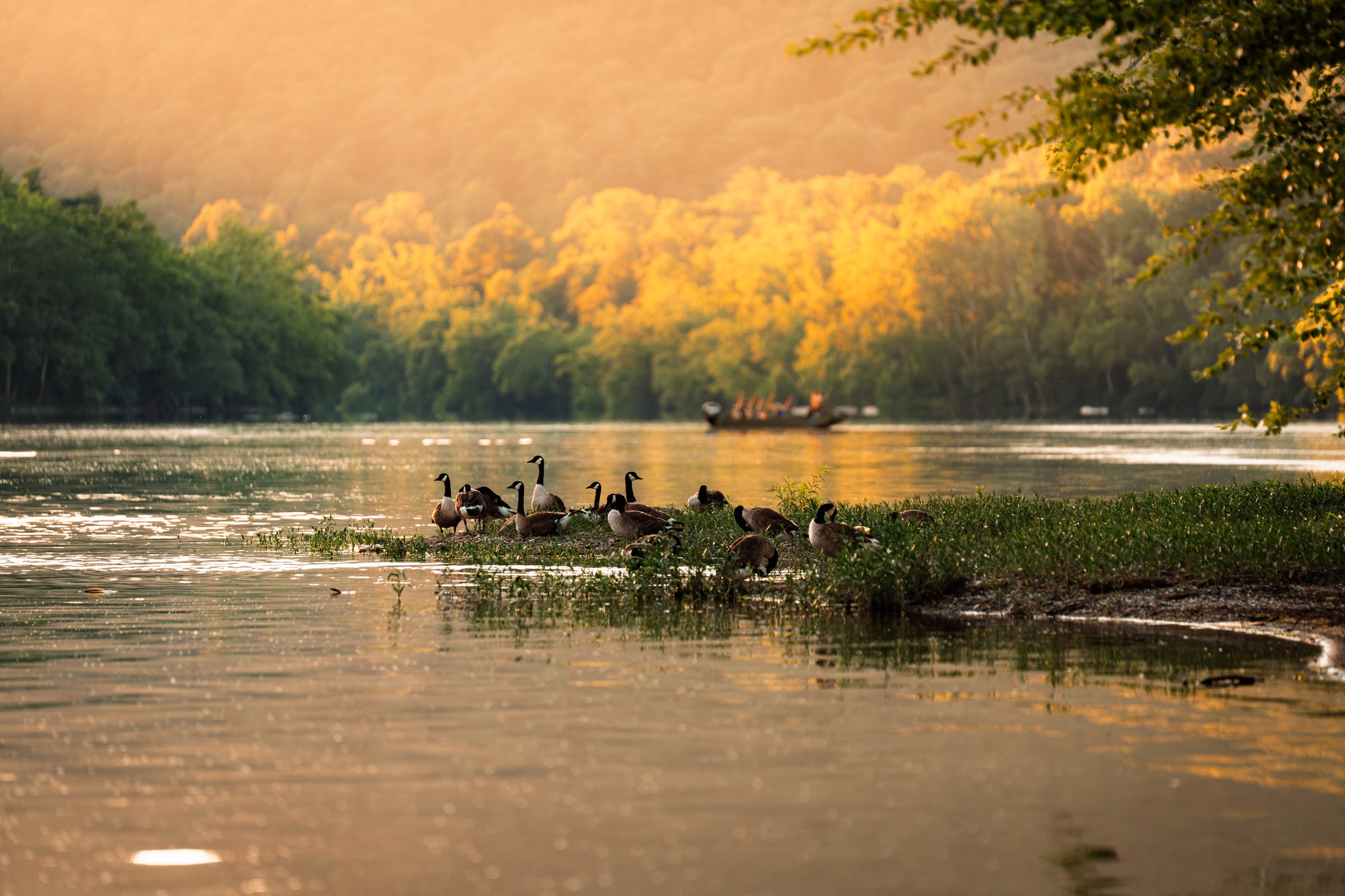 Golden hour never disappoints.
📍 Brooks Falls, Summers County, WV
#exploresummerscounty #newriver #almostheaven #visitwv #gotowv