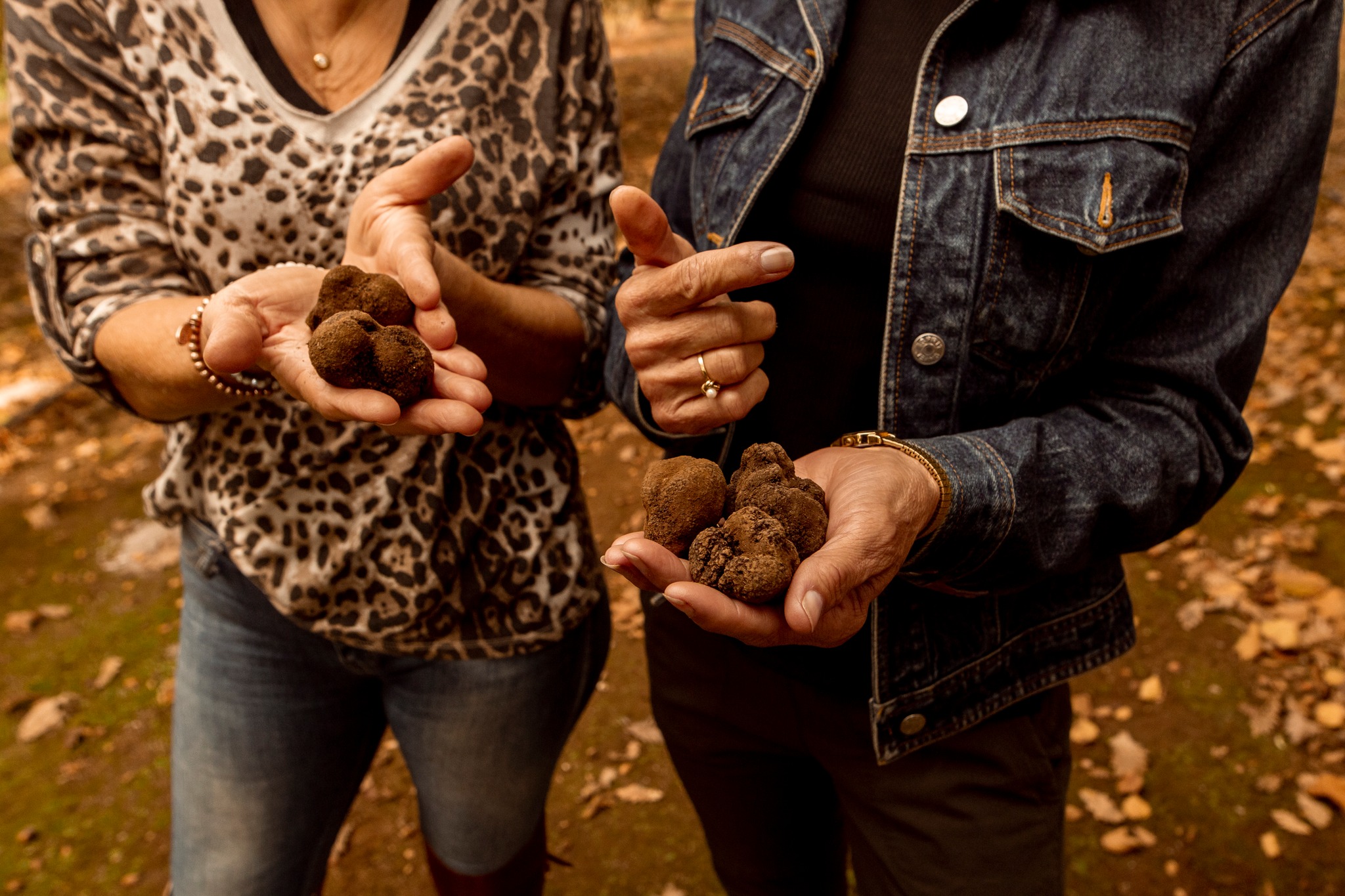 Experience the final month of truffle season and discover one of the Southern Forests' most celebrated winter delicacies.
If you're looking for a great day out on Saturday 8 August, be sure to add Forage & Feast: Manjimup Truffle Uncovered to your calendar.
Held at Manjimup Heritage Park from 9.00am to 1.00pm, this family-friendly event celebrates the region's world-renowned black truffles with local produce, artisan stalls, cooking demonstrations, truffle grower talks, live entertainment and plenty of activities for all ages.
The Southern Forests is home to the third largest black truffle-producing region in the world, making this a wonderful opportunity to discover the people, produce and experiences behind one of our region's most iconic seasonal products.
While you are in the region, make the most of your visit by booking a truffle hunt and experiencing the thrill of uncovering these prized delicacies beneath the forest floor. You can also enjoy a special truffle-inspired experience at Hidden River Estate, with booking details coming soon.
#GenuinelySouthernForests #SouthernForests #ManjimupWA #TruffleSeason #TruffleWA @exploresouthernforests