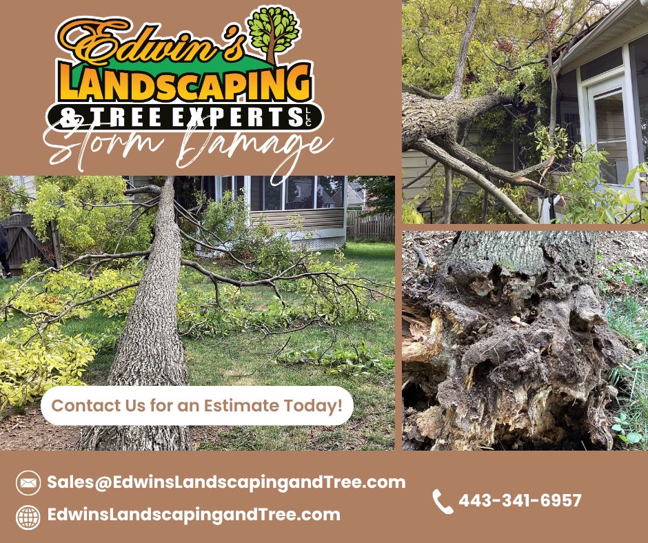 🌳 STORM DAMAGE? WE’RE READY TO HELP. 🌳
When severe weather hits, fallen trees and broken limbs can quickly become a safety concern. At Edwin’s Landscaping & Tree Experts, we provide both emergency storm damage response and regular tree services to help get your property back in shape.
From storm fallen trees and hazardous limbs to cleanup, removal, hauling, and general tree work, our team is equipped to handle the job safely and efficiently.
Stay Tuned for the Final Result!!
📞 Emergency or regular service, give us a call:
443-341-6957
📧 Sales@EdwinsLandscapingandTree.com
🌐 EdwinsLandscapingandTree.com
Your property. Our priority. 🌳
#StormDamage #EmergencyTreeService #TreeRemoval #StormCleanup #TreeService #EdwinsLandscapingandTreeExperts #MarylandTreeService