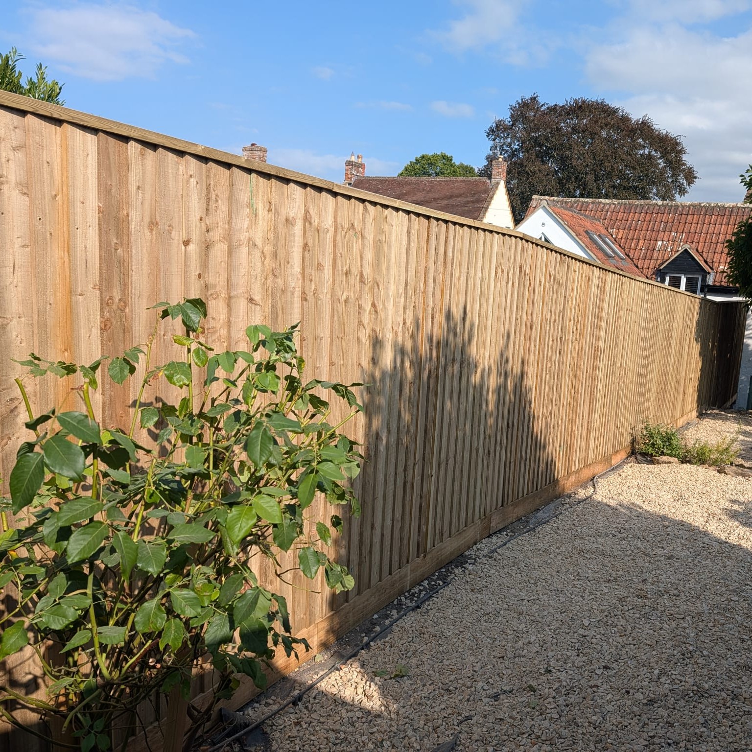 Fencing completed in South Petherton this week.
Removal of existing fence
Installed 21.5m of featheredge closeboard fencing, 6" concrete gravel boards and 8' concrete posts.
Built, delivered and installed by us.
https://www.halstocksheds.co.uk/fencing-1