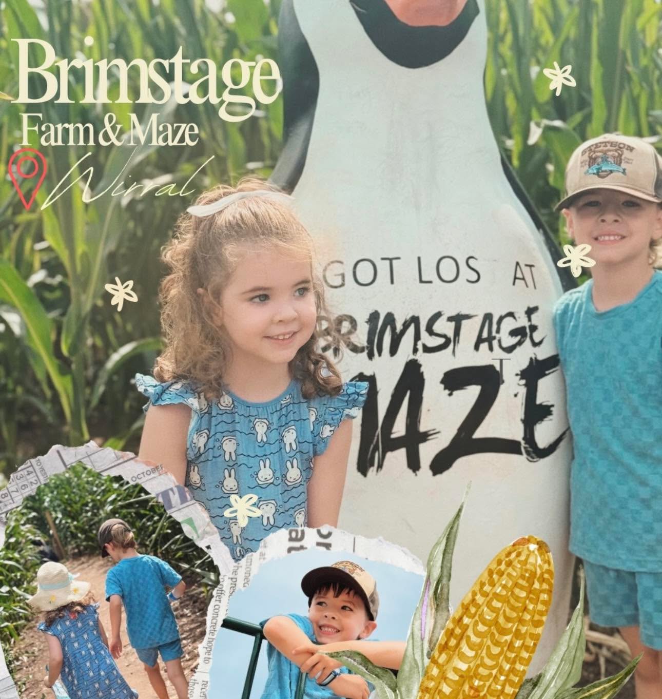 We are now fully open guys! ☀️
So so sorry about this morning.
If you have purchased tickets online for today, please come down for the afternoon.
Alternatively you can used today’s tickets for ANY other day in August.
If you would prefer a refund, please email info@brimstagefarm.co.uk 💚