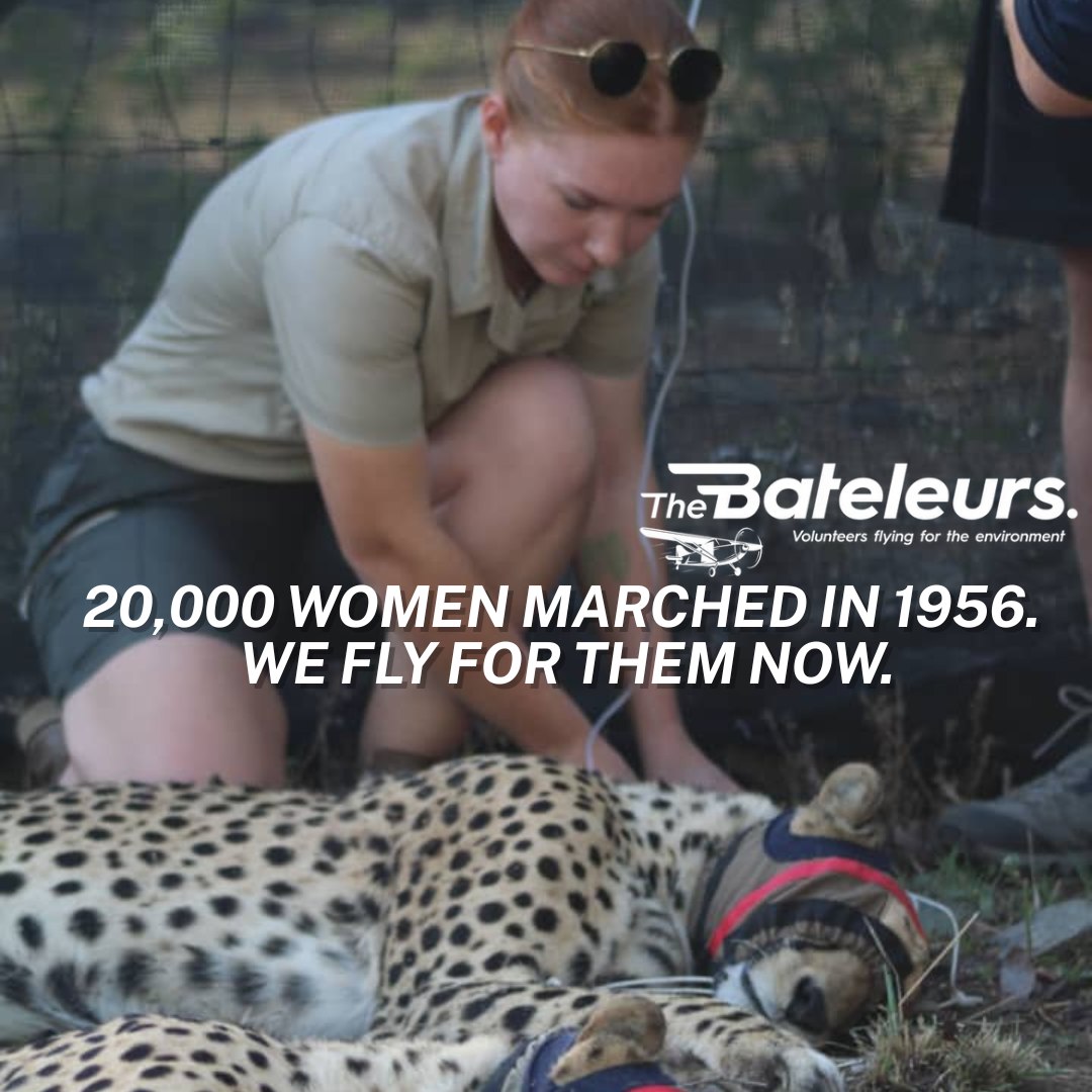 On 9 August 1956, 20,000 South African women marched to the Union Buildings to demand justice. They changed history.
This Women's Day, The Bateleurs salute the women who march, still, for the wild places and species this country cannot afford to lose.
Women hold leadership roles across our beneficiary organisations — from WWF to EWT, CapeNature to Wildlife ACT. They run the science. They protect the animals. We fly the missions that support their work.
Happy Women's Day, South Africa.
🔗 bateleurs.org
#NationalWomensDay #WomensDay2026 #WomensMarch #WomenInConservation #TheBateleurs #SouthAfrica #VolunteersFlying #Conservation