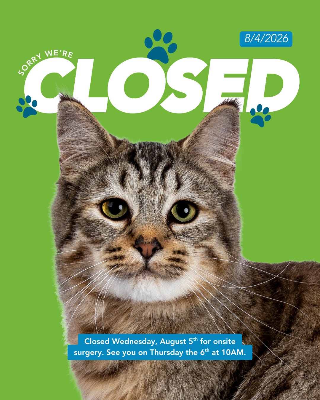 Just a quick heads-up! The Humane Society of Northwest Iowa will be closed tomorrow, Wednesday, August 5, for scheduled on-site surgery.
We'll reopen on Thursday, August 6, at 10:00 AM and look forward to seeing you then. Thank you for your understanding as we help more pets receive the care they need!