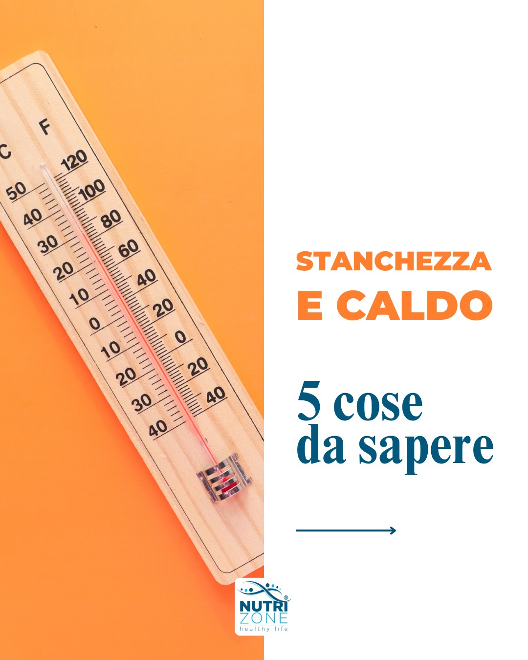 Con il caldo è normale sentirsi più scarichi, ma non è sempre "colpa dell'estate". Il nostro organismo deve lavorare di più per mantenere costante la temperatura corporea e questo, insieme a una minore idratazione e a un sonno meno ristoratore, può aumentare la sensazione di stanchezza.
👇👇👇👇👇👇
La buona notizia?
Con alcune semplici accortezze, come bere a sufficienza, consumare pasti equilibrati e dare spazio a frutta e verdura di stagione, è possibile affrontare meglio anche le giornate più afose!
👇👇👇👇👇👇
Segui @studionutrizone
#teamNutriZone #NutriZone #nutrizione #nutrizionista #biologonutrizionista #biologobrescia #nutrizionistabrescia #biologonutrizionistabrescia #brescia #caldo #estate #estate2026