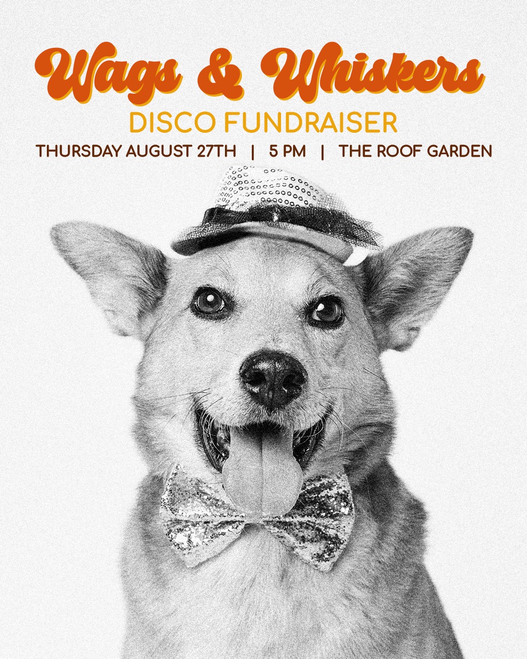 The rumors are true; we are officially hosting a 70s Costume Contest at Wags and Whiskers this year! Whether you're rocking a full sequin jumpsuit, platform boots, or some classic bell-bottoms, we want to see your best vintage looks on the dance floor. Weβll have some awesome prizes for the best dressed, so start planning those outfits now. It's all for the shelter pets, so don't hold back! πͺ©π
ποΈ Individual tickets are $75, a table for 8 is $500, and a booth for 6 is $1,000. Contact us for sponsorship opportunities!
π https://bit.ly/3Sga3oL