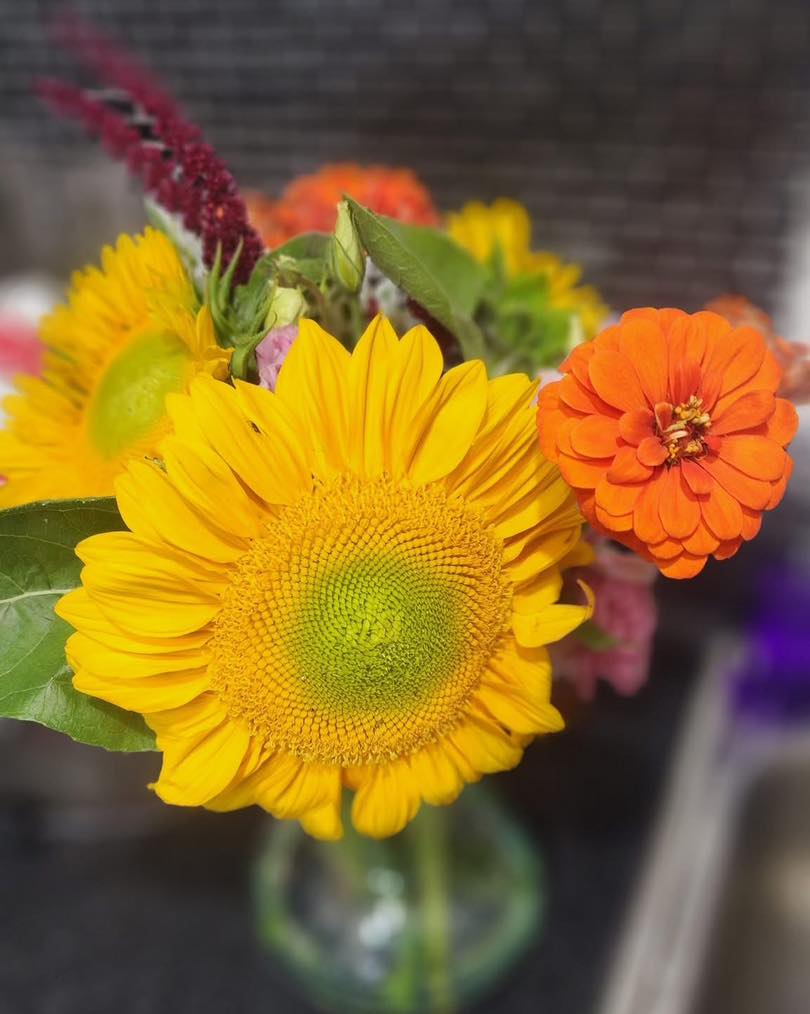 Snapshot Sunday!
Sundays are when I share my bouquets in your houses! One of my favorite things to see, so please send me all the pictures!! 🤗