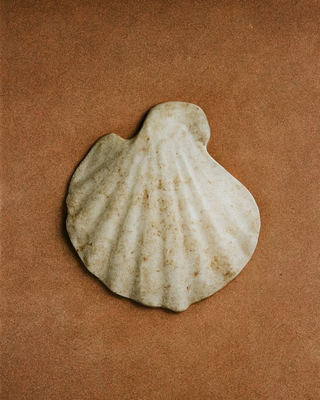 Beach findings.