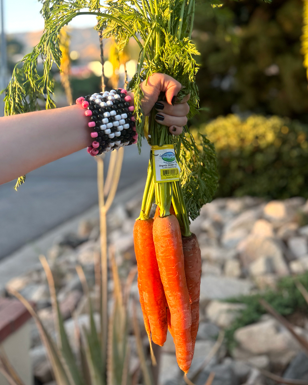 Completely unnecessary plastic on these beautiful carrots! Tell companies to stop using unnecessary plastic!
Letters to freely download and use: danielleeubankart.com/letters
#plasticfree #noplastic #ecopackaging #homecompostable #endplasticpollution #tags #trashday