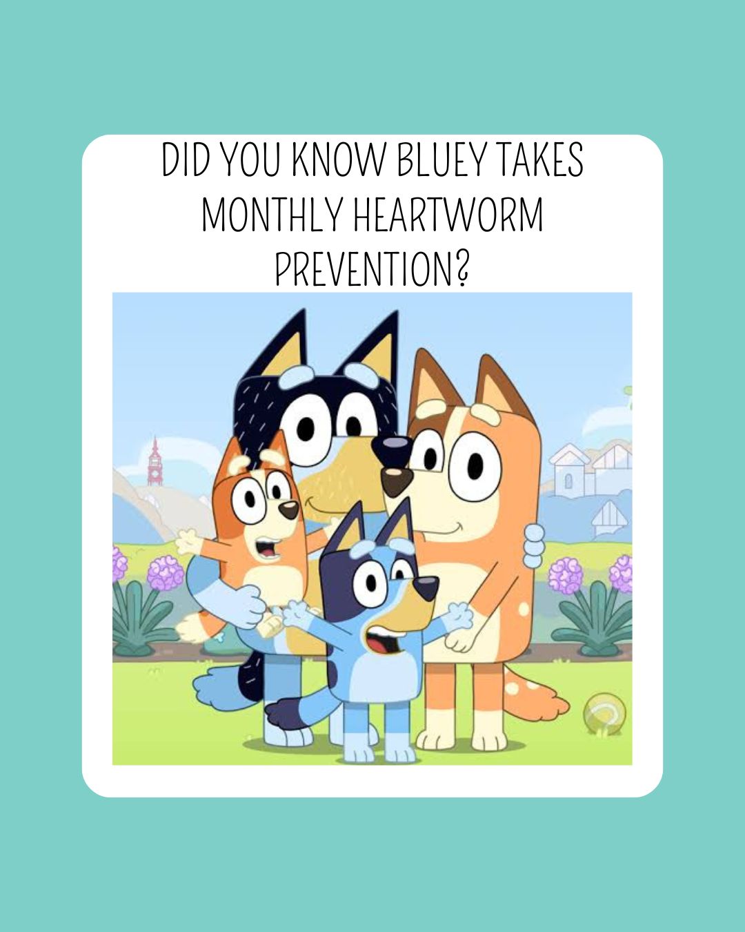 Did you know Bluey takes monthly heartworm prevention?
We provide prevention for all our animals and, now, treatment for heartworm-positive dogs.
Heartworm treatment used to be extremely hard on the pet, but it has improved over time. They still need to take it easy after each shot, but that doesn't mean no fun.
See the list of ways to keep your busy while they take it easy.
Follow us for more content on having fun with your pet!
#fluvannaspca #heartwormpositive #HeartwormPrevention #petcare #funwithfido