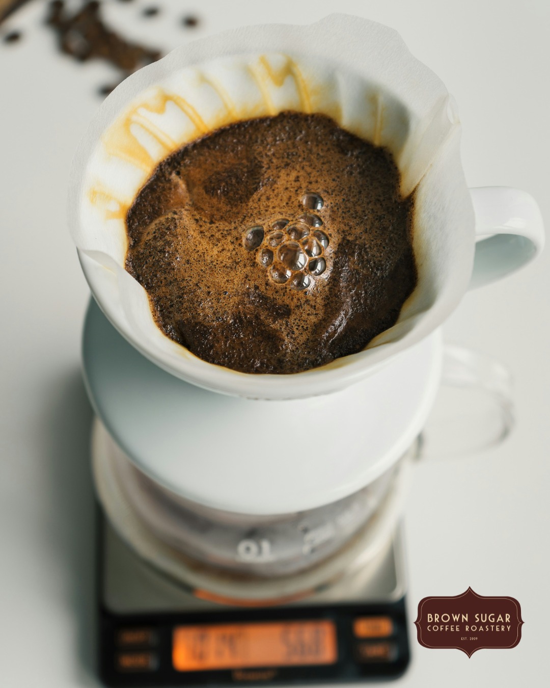 That puff of CO₂ when hot water hits fresh coffee grounds? That's called the bloom, and it's actually telling you something important.
When coffee is freshly roasted, the beans are still releasing carbon dioxide. If you brew before that gas has had a chance to escape, it gets in the way of extraction, interfering with the hot water and muting the flavor compounds you're actually trying to pull out.
The fix: pour just enough water to saturate the grounds, then wait 30 seconds before your full pour. The grounds will swell and puff up. That's the CO₂ releasing. Let it happen!
After that? Pour slowly, extract cleanly, and taste the difference.
Here's the thing: if your coffee isn't blooming, it's not fresh. Stale coffee has already off-gassed. That bloom is proof you've got something worth brewing. 🌿
#CoffeeTips #ThingsCoffeePeopleKnow #FreshRoasted #BrownSugarCoffeeRoastery #WyomingRoasted #CoffeeEducation #BrewBetter