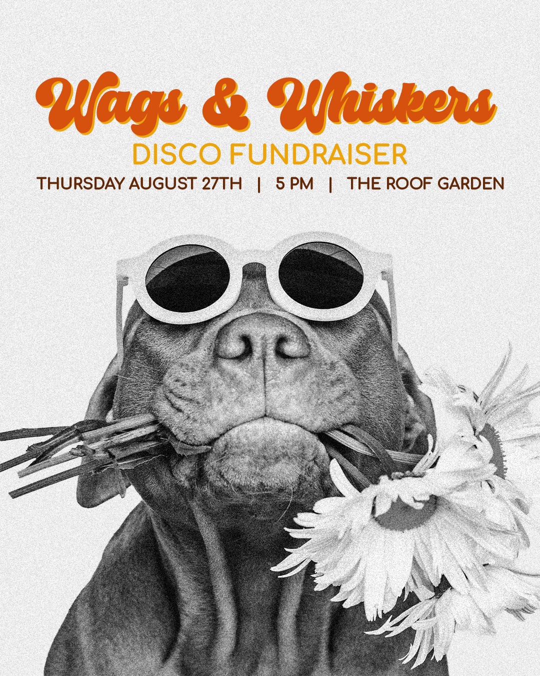 Who is ready to win some dy-no-mite prizes? π§¨β¨ We have incredible raffle and silent auction items lined up for Wags and Whiskers. Join us at The Roof Garden to bid, win, and boogie! ποΈπΎ
ποΈ Individual tickets are $75, a table for 8 is $500, and a booth for 6 is $1,000. Contact us for sponsorship opportunities!
π https://bit.ly/3Sga3oL