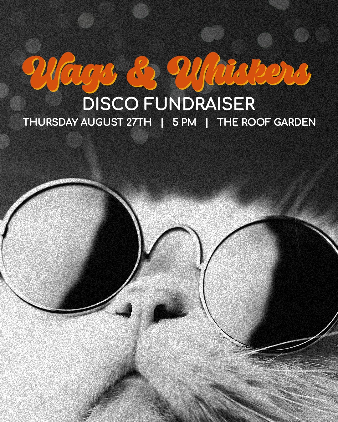 Catching Saturday Night Fever for a great cause! πΆ Grab your friends and come dance the night away to our live disco band. Every ticket helps our pups and kitties find their forever homes. πΎ
ποΈ Individual tickets are $75, a table for 8 is $500, and a booth for 6 is $1,000. Contact us for sponsorship opportunities!
π https://bit.ly/3Sga3oL