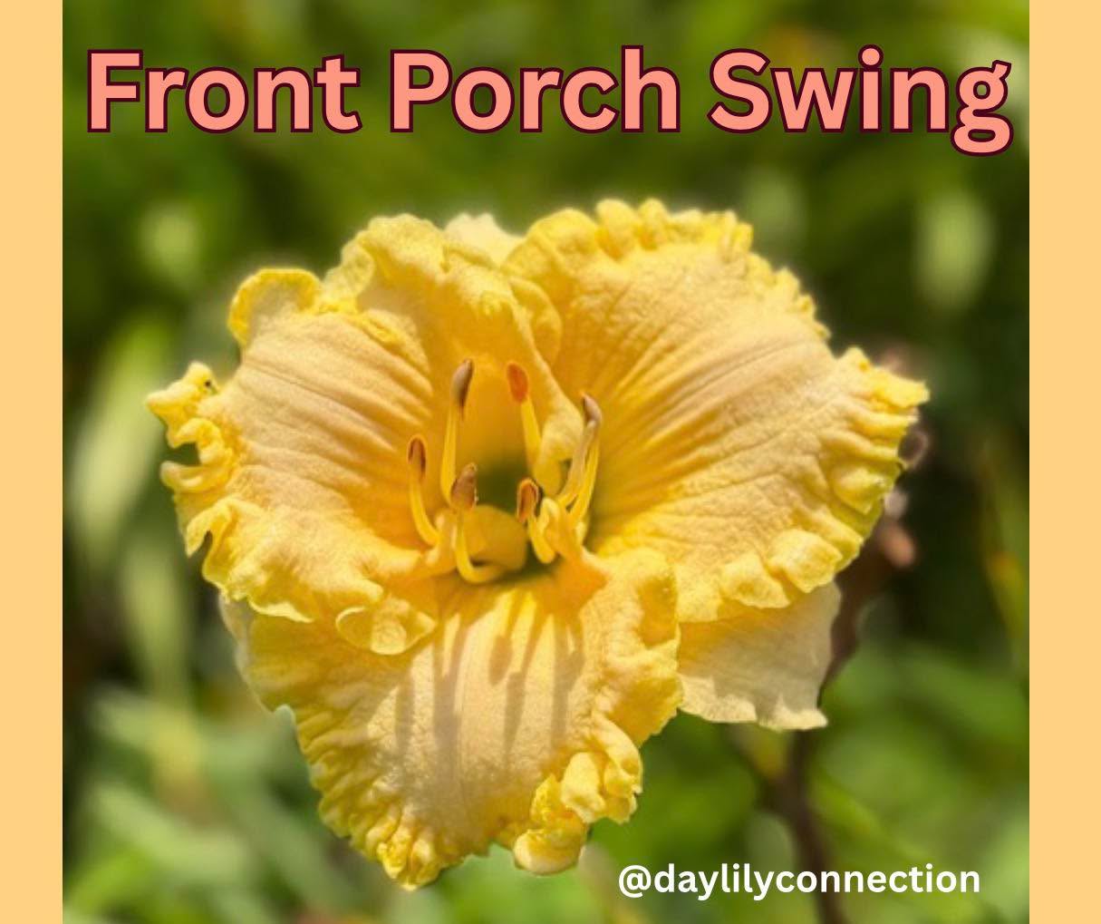 Today’s Bloomin’ Fave!
Still swinging:)
#daylilyconnectionday #daylilyconnection2025 #daylily #daylilylove #daylilylife #daylilyseason #daylilygarden #daylilyflower #daylilyoftheday #rushcountyindiana #rushcounty #indianadaylilyirissociety #indianadaylily #rushvilleindiana
