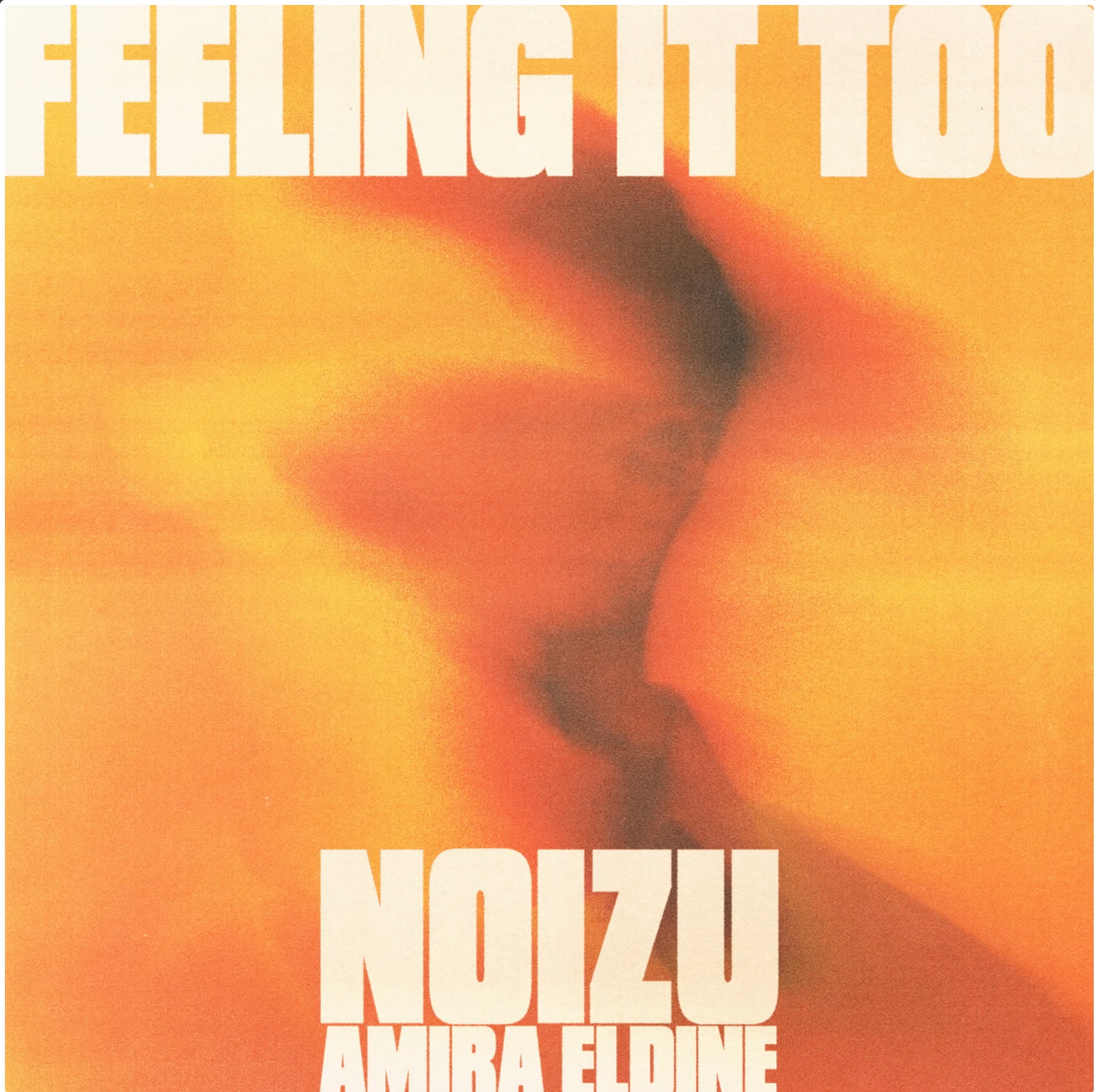 Noizu, Amira Eldine - Feeling It Too
One of dance music's most prolific producers, @@noizusound teams up with @iamamiramusic on this synth driven jam, "Feeling It Too".
On promo out now via @brokerecords