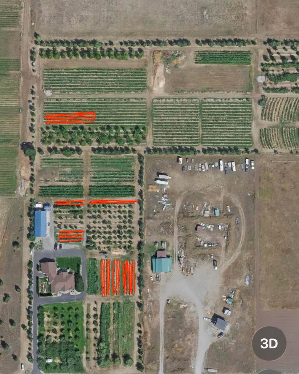 These red sections have the best blueberry picking right now. I see tons of people come out and pick areas that don’t have many berries left. The picking in these spots is still great! So come out, look at where you are on your maps and figure out where these spots are!
Blackberries are going to be closed for several days.