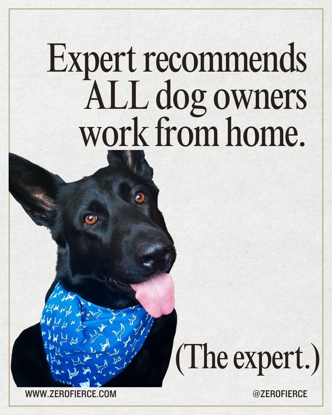 Forget the performance review. My dog rated my work-from-home setup 5 stars, mainly because I share my lunch and haven't left the house since Thursday. 🤩
#zerofierce