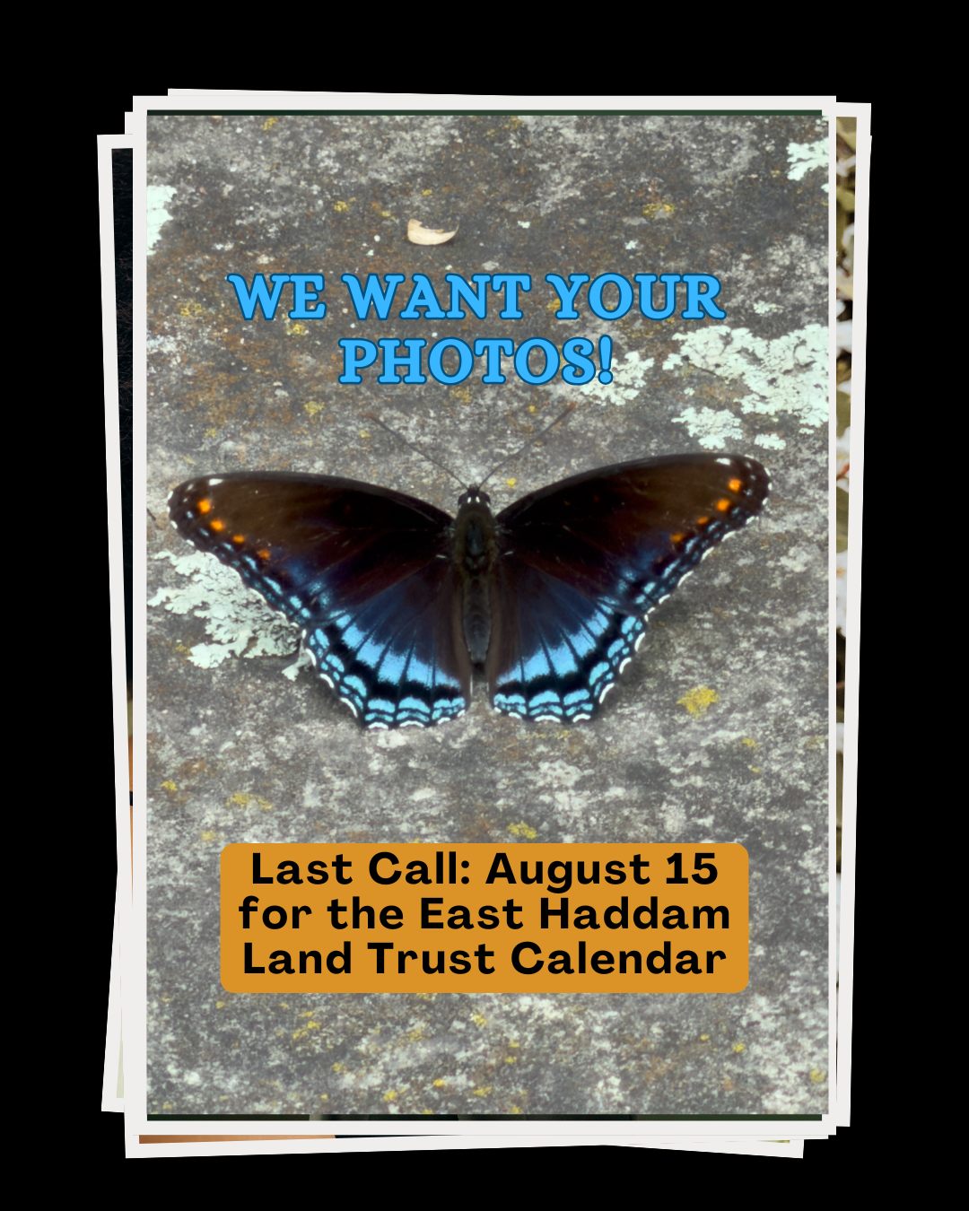Last chance to submit your photos for consideration for the EHLT Calendar!