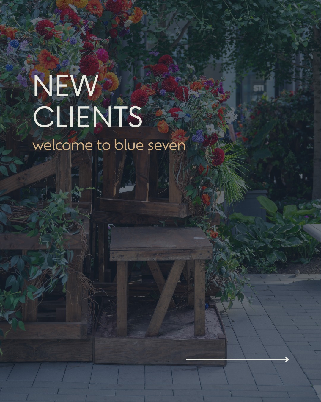 Meet a few of the newest faces in the Blue Seven family. 👋
This summer brought some incredible new partnerships, and we're excited to officially welcome these brands to the Blue Seven family.
We can't wait to show you what we've been working on.
