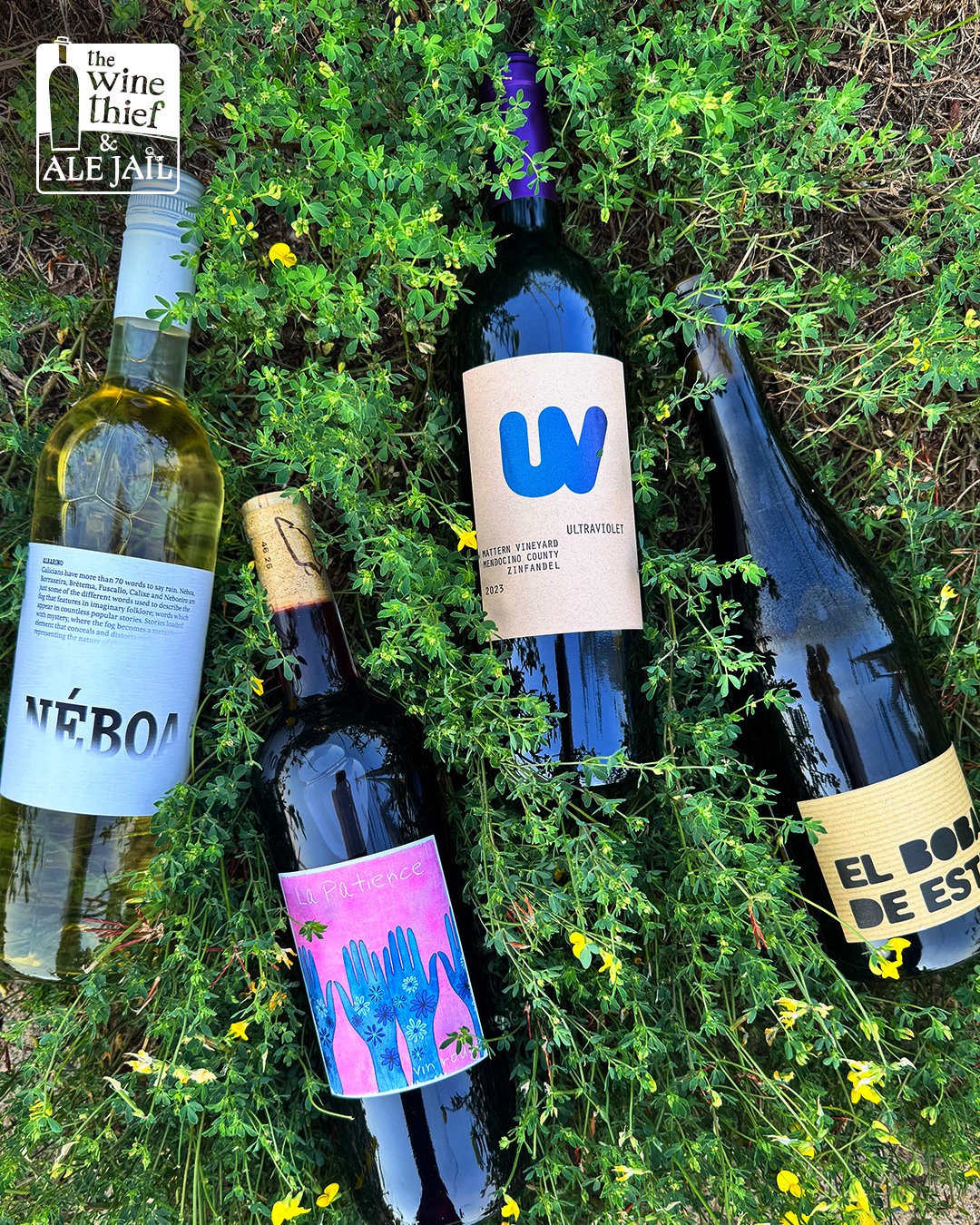#FreeTastingFriday August 14th! 4 to 7pm ⏰Tomorrow!
We are digging the dog days of Summer, and have the wines to celebrate!! 3 new wines and an old favorite:
Néboa { Rías Baixas, Albariño } 🇪🇸
La Patience Rouge { Carignan } 🇫🇷
Ultraviolet { Mattern Vineyard Zinfandel } 🇺🇸
El Bobal de Estenas { Bobal } 🇪🇸
Our Beer of the Month is Here! @lupulin_brewing will be here tasting 4 their delicious beer, they are on sale too:
Fashion Mullet ( Hazy IPA )
Hooey ( Hazy IPA )
Blissful Ignorance ( Double IPA)
Oktoberfest ( Märzen )
Stop by on this sunny afternoon and celebrate our grenache day with us and try some Back Channel Brews!
#WineThiefAndAleJail
#Wine #Albarino #RiasBaixas #Carignan #Zinfandel #Bobal
#LupulinBrewing #HazyIPA #DoubleIPA #Marzen
#CrystalMN #RobbinsdaleMN #GoldenValleyMN
#fyp