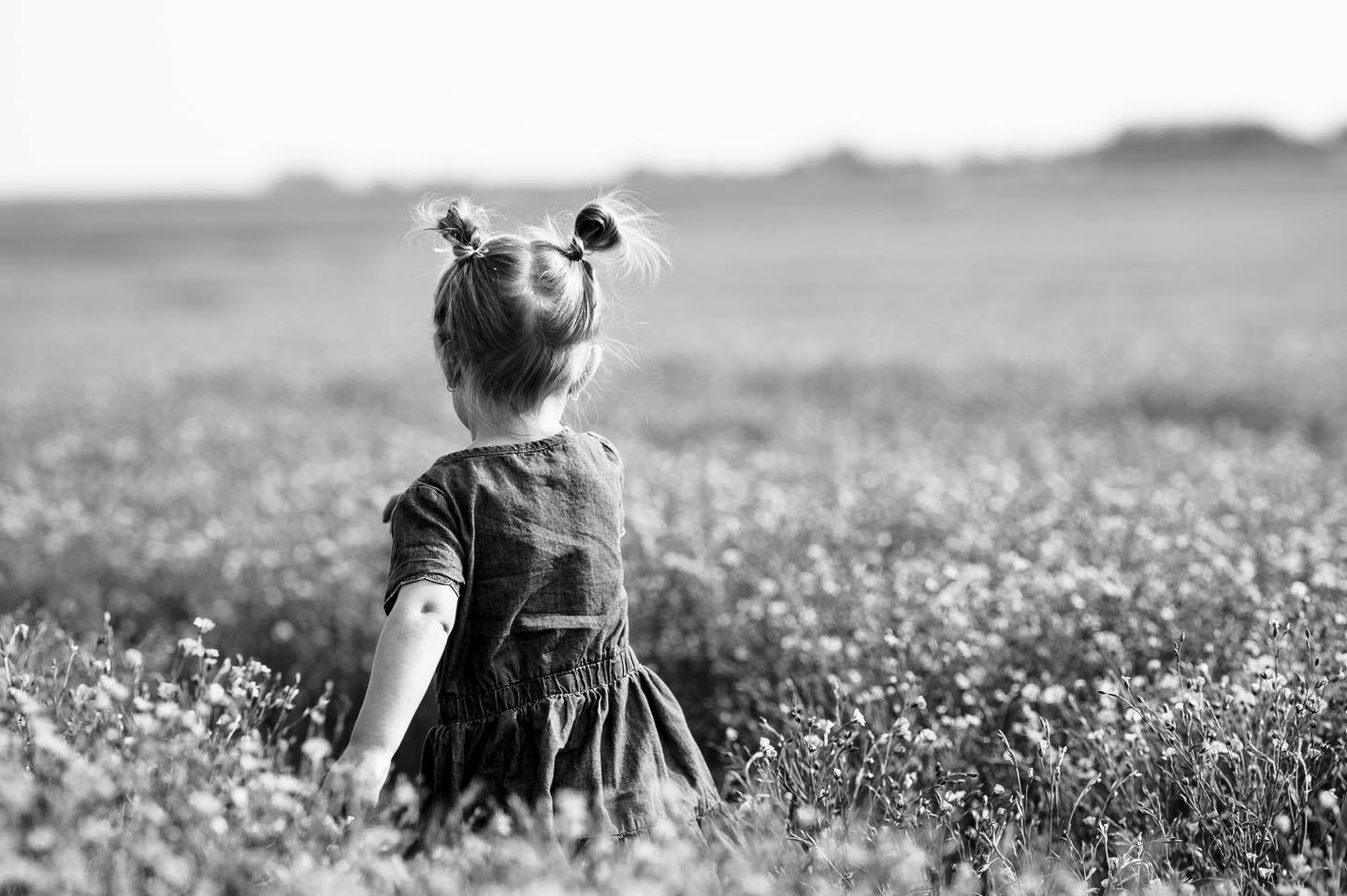 There’s just something about summer mornings in a flax field. 🤍🌾
The soft textures, wide-open Alberta skies, and those sweet little in-between moments make sessions like this some of my favourites. Sometimes the simplest moments turn into the photographs you’ll treasure the most. 📸
If you’ve been thinking about updating your family photos, now is the time to book! My remaining summer and fall availability is getting limited, and I only have a handful of session times left.
Send me a message to grab your spot before they’re gone! 🤍
#MeganKelseyPhotography #LethbridgePhotographer #LethbridgeFamilyPhotographer #YQLPhotographer #SouthernAlbertaPhotographer #AlbertaFamilyPhotographer #FamilyPhotography #FamilyPhotos #FlaxField #FlaxFieldPhotos #SummerFamilyPhotos #FallFamilyPhotos #LethbridgeAlberta #YQL #SouthernAlberta