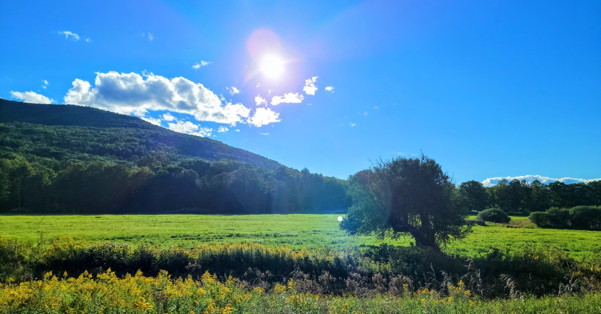 Whether you're coasting along The Windham Path or tackling mountain trails, we’ve got the gear to keep your ride smooth and your style dialed in. Rentals, repairs, accessories, and expert advice, all just across from the Path.