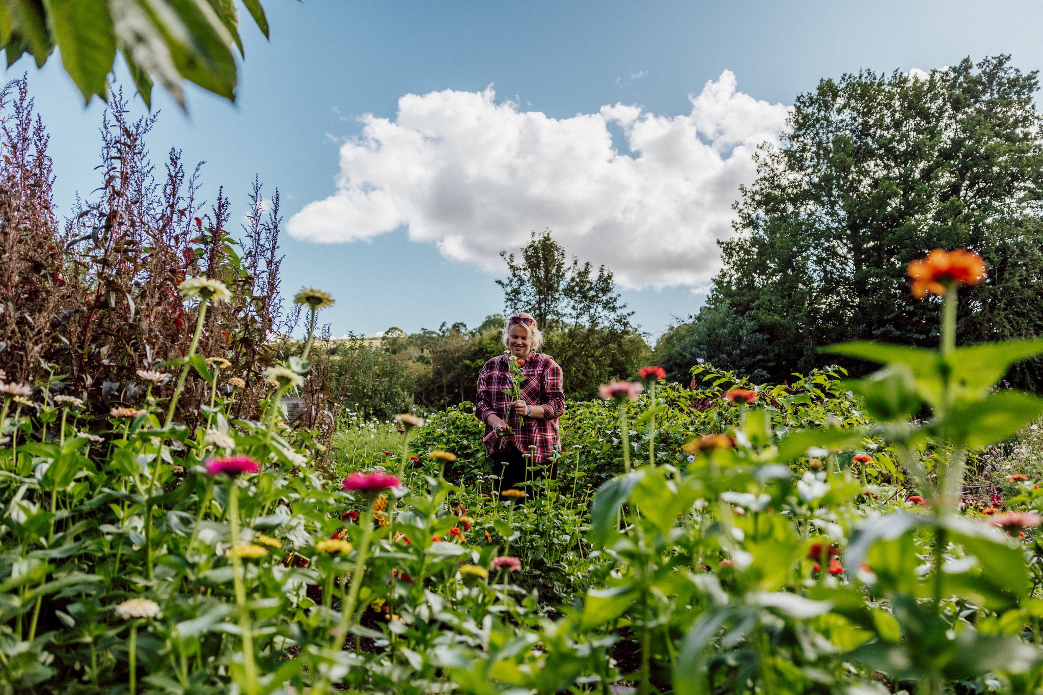 Who are we?
If you’re thinking about joining our Dreamatorium Meadow Box Workshop, here’s a little bit about who we are — and where your flowers are coming from.
Firth Flock Flowers is a small, sustainable flower farm based just outside Ruthin. All the flowers you’ll be using in the workshop are grown right here on our field: seasonal, organic, no‑dig, and bursting with character. Every stem has been planted, tended, and harvested by hand — and you’ll be arranging with the very same flowers we use for our weddings and events.
Last summer we asked @alexmorganphotographer to capture a little glimpse of life on the field, and the photos say it better than we ever could: the colours, the textures, the calm. This is where your meadowbox begins — rooted in the landscape of North Wales, grown just a few miles from @thedreamatorium_.
If you’ve ever wondered what “locally grown flowers” really means, this workshop is the perfect way to experience it. You’ll be arranging with flowers that were growing in the field only days before, learning how we grow sustainably, and creating something beautiful to take home.
We can’t wait to welcome you.
#firthflockflowers #northwalesflowers #britishflowers #seasonalflowers #grownnotflown #ruthinbusiness #thedreamatorium #floristryworkshop #northwalesflorist #alexmorganphotography #slowflowers #supportlocalmakers #creativecommunity @lavinia_stamps @thedreamatorium_