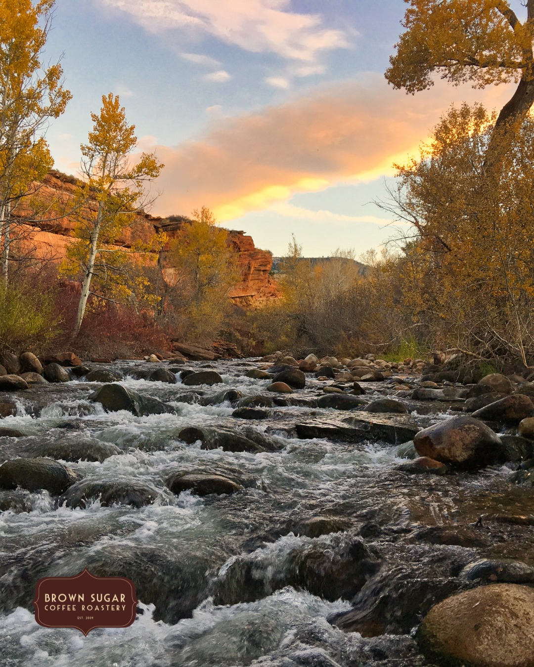 Wyoming fall doesn't ease in.
One week it's summer. Then the wind changes direction, the aspens go gold overnight, and suddenly you need a jacket before you've finished your first cup of the morning.
We've been roasting through Wyoming seasons since 2009, and fall here has a particular energy. The tourists have mostly cleared out. The roads are quieter. The light is lower and hits everything differently.
It's our favorite time of year to be here. And it's a great time to have a really good bag of coffee in the kitchen.
Fair Trade. Organically sourced. Roasted fresh to order on our 25-lb drum at 203 E Main St, Riverton.
Shop the link in bio. 🏔️🍂
#Wyoming #WyomingFall #Riverton #BrownSugarCoffeeRoastery #WyomingRoasted #FallCoffee #SmallTownCoffee #SipClean