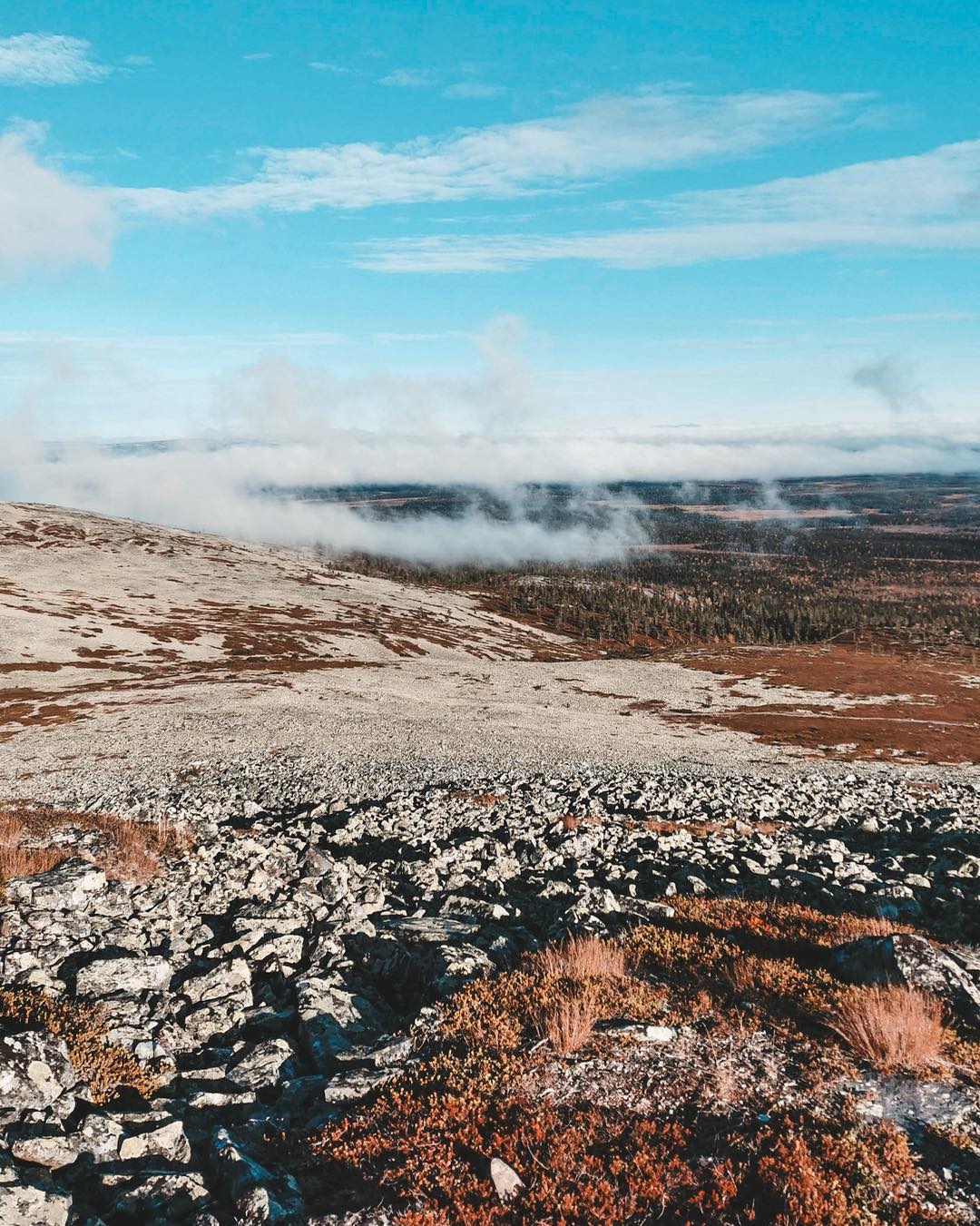 Kesän valo vähenee – mitä luonnossa muuttuu? 🌿
Elokuun edetessä illat hämärtyvät, ilma viilenee ja metsän sävyt alkavat hiljalleen syventyä. Aamuisin voi olla sumua, polut pysyvät pidempään kosteina ja marjat kypsyvät poimittaviksi.
Valon väheneminen ei tarkoita retkikauden päättymistä. Luonnossa alkaa uusi vaihe ja kirkkaina öinä taivaalla voi nähdä jo syksyn ensimmäisiä revontulia.
Myöhäiselle retkelle kannattaa ottaa mukaan lämmin lisäkerros ja otsalamppu.
🇬🇧 As the summer light fades, what changes outdoors? 🌿
As August moves on, the evenings grow darker, the air turns cooler and the colours of the forest slowly deepen. Mornings may be misty, trails stay damp for longer and wild berries are ready to be picked.
The fading light doesn’t mean the end of the outdoor season. It marks the beginning of a new one and on clear nights, you may even spot the first northern lights of autumn.
If you’re heading out later in the day, remember to bring an extra layer and a headlamp.