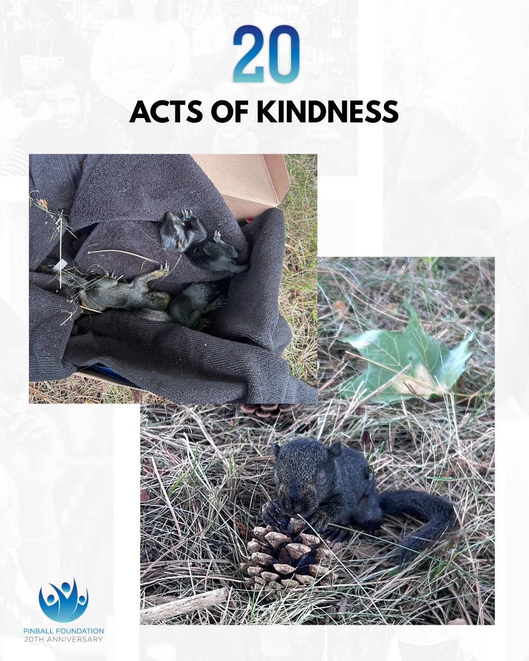 Now this is a RANDOM act of kindness. 🐿️💙
When a few baby squirrels took an unexpected tumble from their tree, one of our team members stepped in to help get these little guys somewhere safe.
We're celebrating 20 years of the Pinball Foundation with #20ActsofKindness, and this one is a reminder that opportunities to show a little kindness can pop up when you least expect them.
How are you spreading kindness in your community?