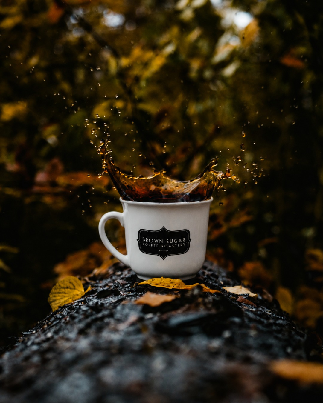 Fall brewing tip you didn't know you needed 👇
As temperatures drop, your brewing environment gets colder, which means heat loss between kettle and cup happens faster. A vessel that felt warm enough in July genuinely isn't in September.
Two things that help:
→ Pre-warm your mug, dripper, and carafe with hot water before you start. Pour it out right before brewing. Takes 30 seconds.
→ At Wyoming's altitude, water already boils cooler than sea level. A pre-warmed vessel keeps your brew temperature where it needs to be from first pour to last sip.
It's a tiny adjustment. The cup it produces is not tiny.
#BrewBetter #CoffeeTips #FallCoffee #BrownSugarCoffeeRoastery #WyomingCoffee #AltitudeCoffee #CoffeeEducation #SipClean