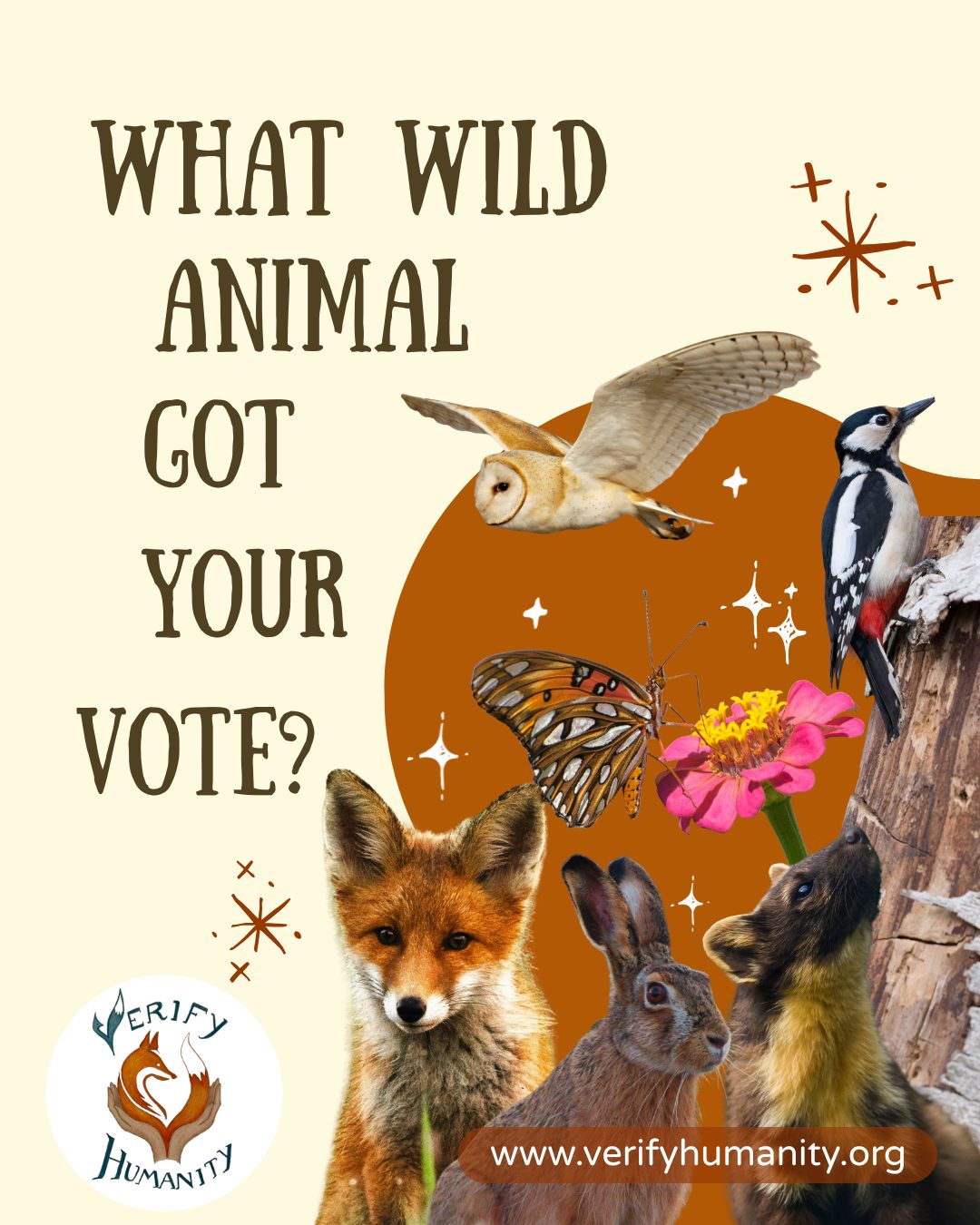 British Wildlife set to appear on new bank notes. 💷
A shortlist was produced of which native UK wildlife should appear as the central image on £5, £10, £20, and £50 notes.
The public were asked to give their views on the selection before July 3rd 2026.
Results are still to be expected, but what are your thoughts on which animal fits the bill? 🤔
The categories and animals were:
🦔 Mammals - Bottlenosed dolphin, brown hare, European hedgehog, grey seal, pine marten, red fox
🦅 Birds - Atlantic puffin, barn owl, common kingfisher, Eurasian curlew, great spotted woodpecker, white-tailed eagle
🐸 Amphibians, insects and fish - Atlantic salmon, basking shark, buff-tailed bumblebee, common frog, emperor dragonfly, marsh fritillary butterfly.
#wildlife #britishwildlife #bankofengland #money
Sources:
Verify Humanity (June 2026), Bank of England - Wildlife Bank Note Consultation, https://www.verifyhumanity.org/vh-news/bank-of-england---wildlife-bank-note-consultation.
Bank of England (3rd June 2026), Public asked to help select UK wildlife to appear on new banknote series, https://www.bankofengland.co.uk/news/2026/june/wildlife-new-banknote-series