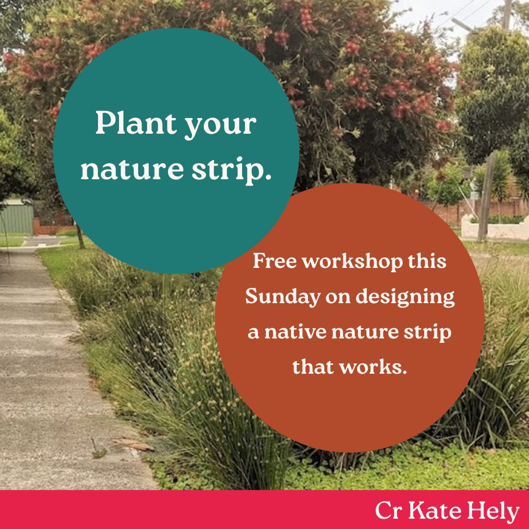 Free permit. Free $25 plant voucher. Free workshop this Sunday on how to actually do it.
If you've looked at the nature strip outside your place and thought it could be more than mown grass, this is the session. Kieran Dickson and Rewilding Stonnington on plant choice, layout, site preparation, and what keeps it safe and low maintenance. Bring a sketch and get feedback on it.
Sunday 23 August, 2pm to 4pm, Caulfield Park Pavilion, Caulfield North. Free, bookings essential.
Nature strips are part of our green space network, not leftover ground. Small patches of indigenous planting add up: cooler streets, more birds, a better walk to the tram.
@rewildingstonnington