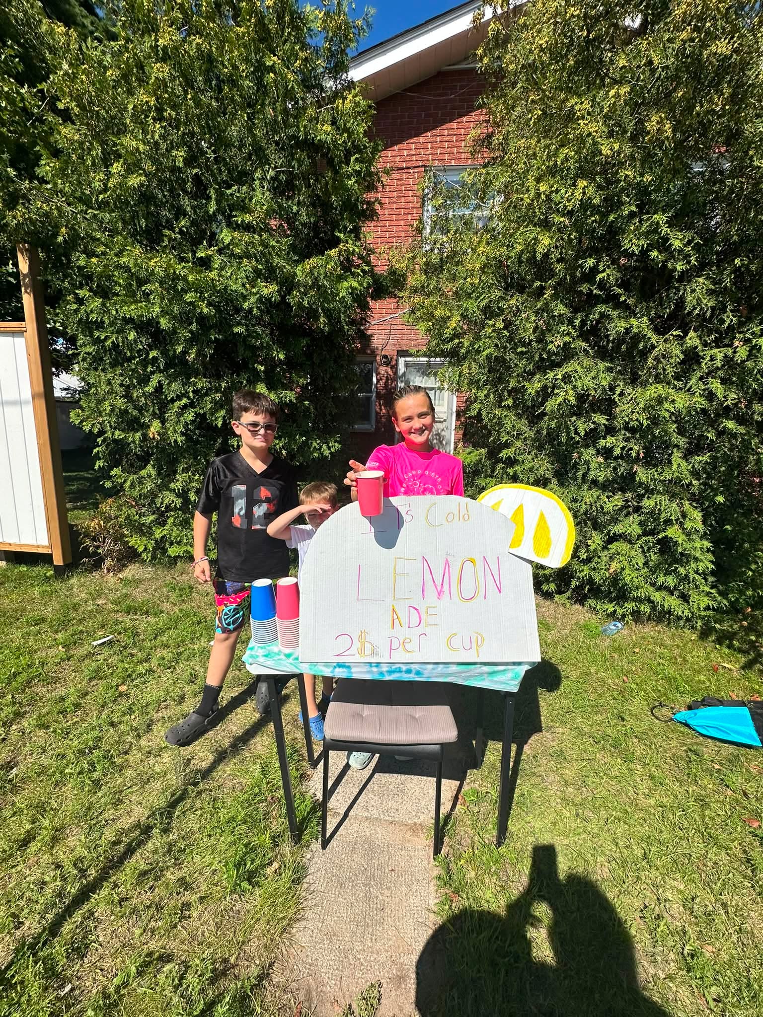 I highly recommend the lemonade stand across from Valumart 🍋😎