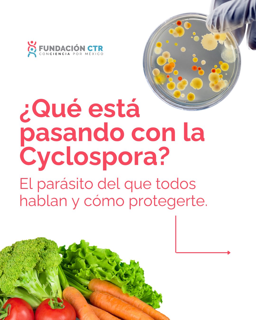La prevención empieza en la cocina. 🧺🧼
Aunque en México no hay alarma por Cyclospora, la higiene al preparar tus frutas y verduras es clave para evitar este y otros parásitos.
👉 Desliza y descubre sus síntomas, cuándo ir al médico y cómo protegerte.
💾 Guarda y comparte esta guía básica de prevención.
#FundaciónCTR #Salud #Prevención #HigieneAlimentaria #Cyclospora
