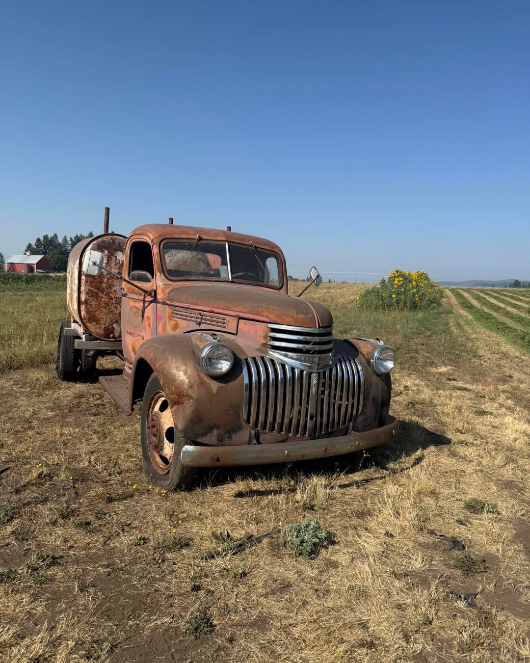 We are getting down to our last few honey holes. If you know where these spots are and are familiar with the Farm and want to continue coming out, feel free. If you are not familiar with the Farm, it may not be the best time to come out.
For those that do come out, there is a decent amount of strawberries at the pink flagged rows in the strawberry field. I wouldn’t say it’s worth coming out just for strawberries. The green flagged rows also have some, but not many right now. $4 a lb.
The blackberries are very slow to ripen and people continue to pick them, even though the rows are roped off. So basically it’s a free-for-all at this point. At this very moment, there’s probably six gallons in those rows to be picked. $6 a lb.
I won’t be answering many questions as I’m not looking to get new faces out here right now. If you are familiar with the farm and know how things work out here and how we typically do things with our open hours and everything, come on out.
We got this cute little truck edition for y’all to take pictures with. Enjoy.