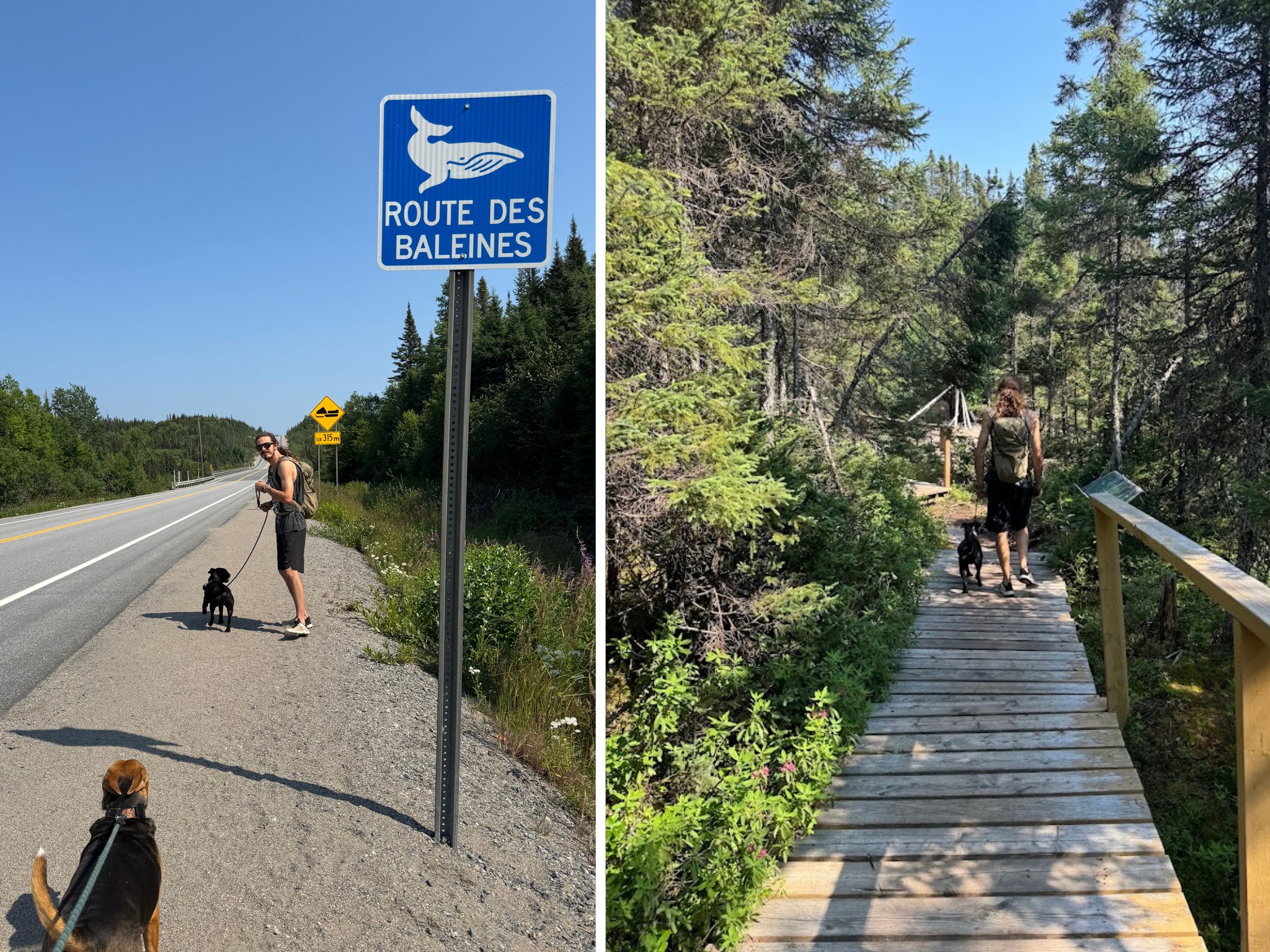 Après un rapide arrêt à Sept-Iles pour faire une petite épicerie, mettre du diesel (et prendre du Tim iykyk🥲), on a fait une petite halte aux Chutes Manitou! 😍
On en a profité pour diner et bouger un peu avant de reprendre la route 138...🚶🚶♀🚍
#chutemanitou #route138 #chutes #cascades #easyhike #rando #tourismecotenord
