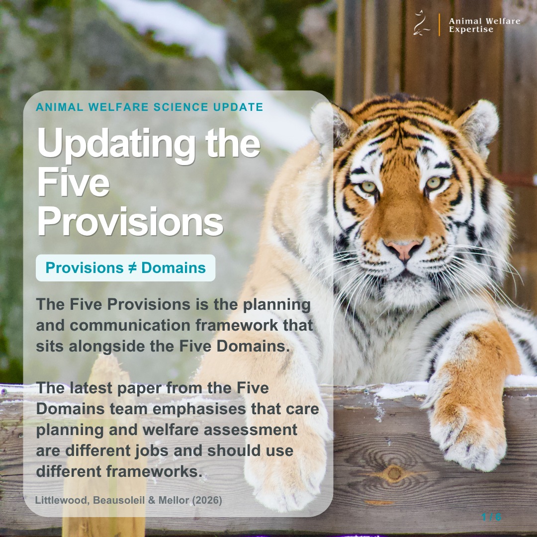 The Five Domains Model has had such wide-reaching success over the last decade, and this has led to a variety of applications and use-cases. This latest paper from the team behind the model updates some of the associated frameworks in an attempt to ensure its use remains accurate and meaningful.
You may have heard of the Five Domains of Welfare, but did you know that the Five Provisions were designed alongside it as a planning and communication framework? The two sets of categories are closely related, but not interchangeable.
The Five Provisions help us plan and communicate welfare-focused care: the resources, conditions and practices we provide. The Five Domains Model provides a structure for assessing welfare by using evidence (both animal- and resource-based) to infer the animal’s mental experiences. Good care is essential, but the animal’s experience is the measure of whether that care has succeeded.
Littlewood, Beausoleil and Mellor (2026) propose three updated Provision names: Good Living Space, Appropriate Choices and Integrated Care. These changes emphasise meaningful opportunities for agency and the consistent delivery of care over time and across everyone interacting with the animal. Used together, the frameworks support a continuous process: plan the care, assess the animal’s experience, compare outcomes with the intended welfare aims, and adjust.
Littlewood KE, Beausoleil NJ & Mellor DJ (2026). Animals, 16, 1927.