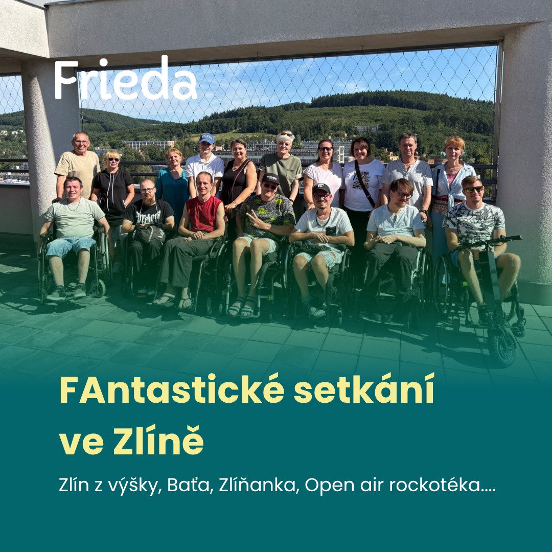 Setkat se. U lidí s Friedriechovou ataxií obnáší toto slovní spojení hlubší význam, než jaké čeština k popisu nabízí. Setkat se znamená být chvíli mezi těmi, kterým nemusíte všechno vysvětlovat.
https://www.frieda.cz/post/fantastické-setkání-ve-zlíně-tomáš-pik
Frieda - sami silní, spolu silnější