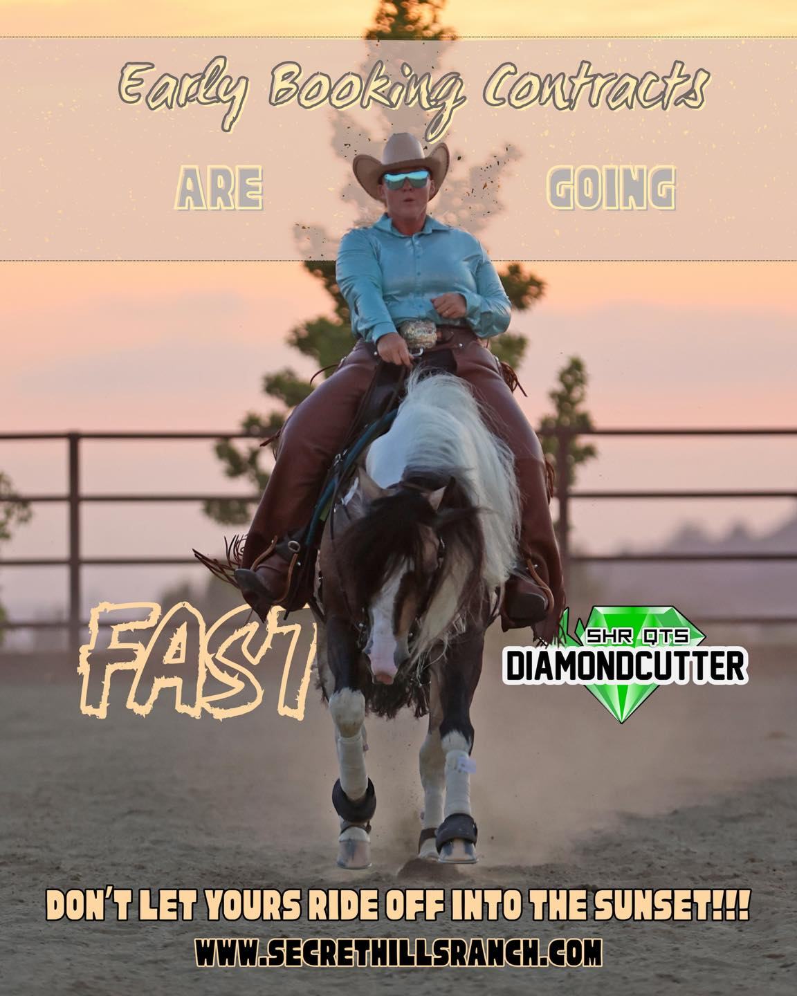 Well… apparently we weren’t kidding when we said FAST. 😂💨
Just since opening his 2027 Early Booking THURSDAY MORNING, 4 of Cutter’s 10 contracts are already SOLD! 🤯
That means there are only 6 Early Booking contracts remaining at $1,650!
If SHR QTs DiamondCutter has been on your 2027 breeding plans, don’t let yours ride off into the sunset. 🌅🐴
💎 2027 EARLY BOOKING — $1,650
💎 Limited to the first 10 mares
💎 4 SOLD — ONLY 6 LEFT!
Cutter is Homozygous Tobiano + Homozygous Black, 8-panel N/N, a 3× World Champion, and a proven sire of gorgeous, talented, versatile Paint horses.
And judging by how quickly these first three went… we have a feeling the remaining seven may not hang around long. 👀
👉 www.secrethillsranch.com/shr-qts-diamondcutter
Early Booking Contracts are going FAST… don’t let yours ride off into the sunset! 🌅💎 Get your contract before the price increases to the 2027 regular fee!!
#SHRQTsDiamondCutter #SecretHillsRanch #PaintHorse #APHAProud #Tobiano #Stallion #BreedingSeason #2027Foals