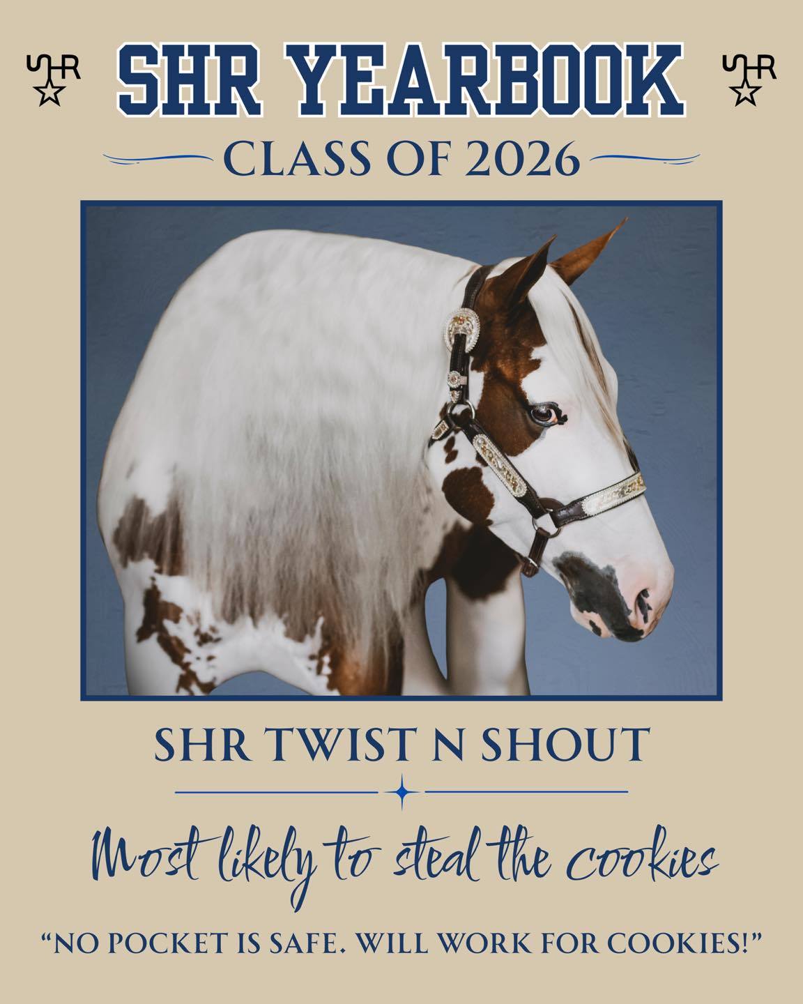🎓 SHR YEARBOOK — CLASS OF 2026 🎓
Next up in the SHR Class of 2026…
🍪 SHR Twist N Shout — Gidget 🍪
Most Likely To: Steal the cookies
Senior Quote: “No pocket is safe. Will work for cookies!”
Gidget has never met a pocket she didn’t feel was worth investigating. 😂
Personal space? Optional.
Manners? Depends on what you’re holding.
The suspicious crinkle of a peppermint wrapper from 40 feet away? HEARD IT. 👀
And don’t even THINK you’re going to give another horse a cookie without paying the Gidget Tax. 🍪🤣
She may be a multiple High Point Champion, Scarlett’s partner in crime, and one heck of a show horse…
…but at the end of the day, this girl’s true motivation has always been pretty simple:
COOKIES. 😂
Another member of the SHR Class of 2026 officially exposed.
Who should get their yearbook page next? 👀🎓
#SHRYearbook #ClassOf2026 #SecretHillsRanch #SHRTwistNShout #Gidget #PaintHorse #BarnLife