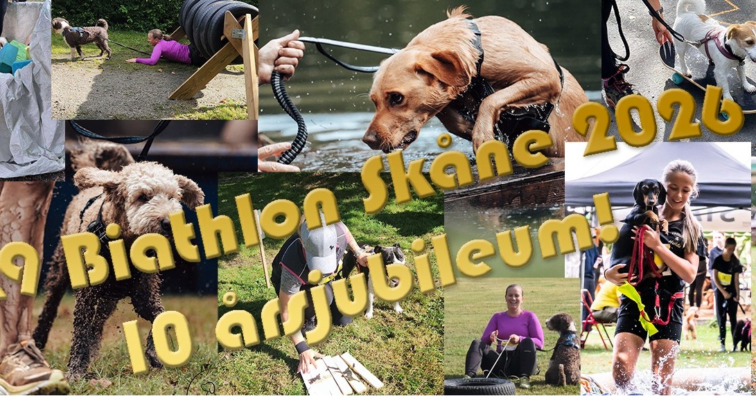 På lördag den 5 september är det dags för en av årets absolut roligaste dagar – K9 Biathlon i Silverforsen Folkets Park! 🙌
Och även om du inte ska springa loppet finns det all anledning att komma förbi!
🐾 Massor av hundar
🏃 Hundar & människor som tar sig runt vår hinderbana
🎪 Utställare
🎤 Föreläsningar
🎟️ Lotteri
🧠 Tipsrunda
☕ Och massor av härlig stämning!
Kanske känner du dessutom igen några Energicenter-medlemmar längs banan… 😉
Gillar du hundar – kom förbi och häng med oss!
Ta med familjen, kompisen eller hunden och upplev K9-dagen från sidan av banan. 💙
📍 Silverforsen Folkets Park, Kävlinge
📅 Lördag 5 september 10.00
Nu börjar vi bli RIKTIGT taggade.
Ses vi där? 🐶💪💙