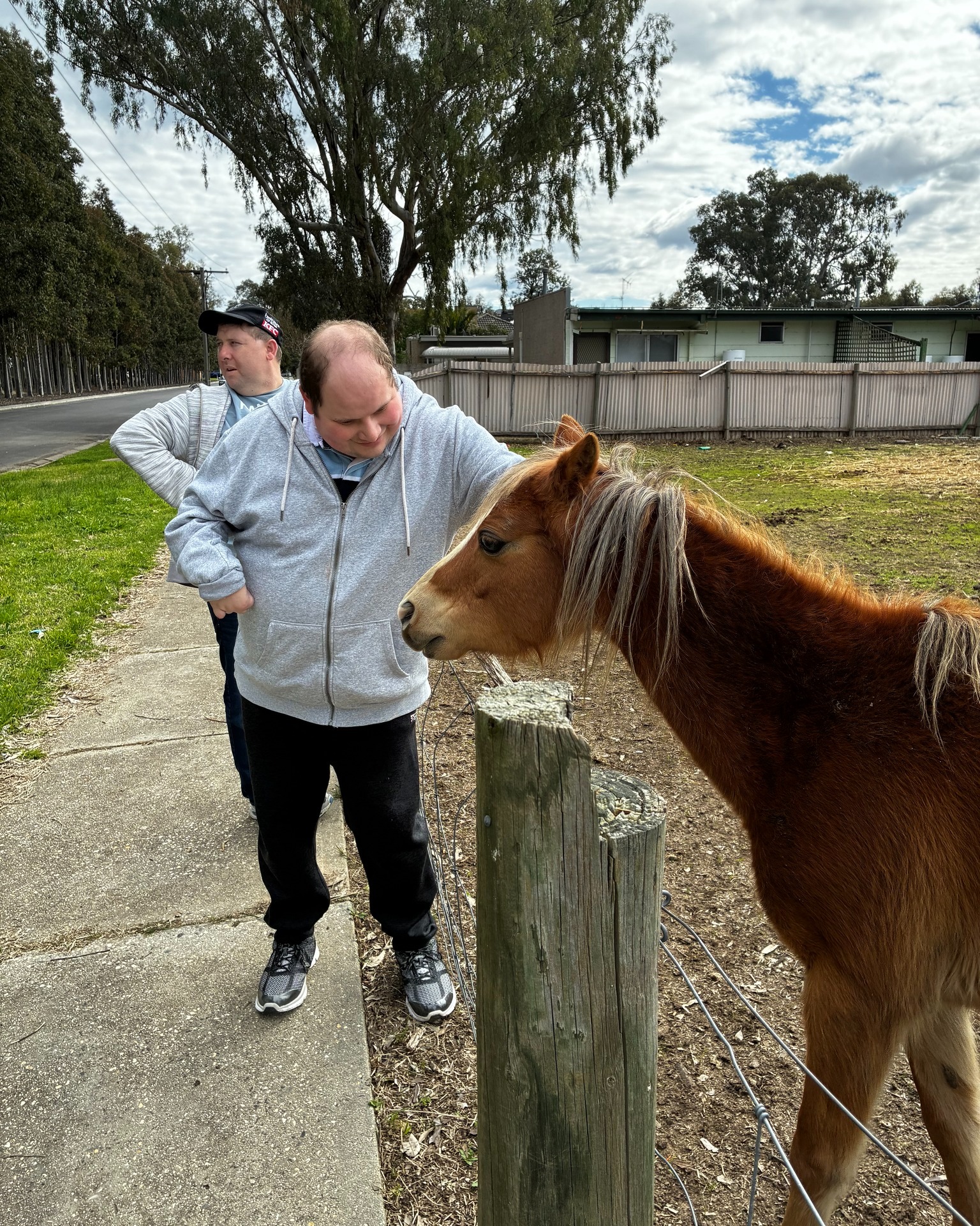 You never know who you'll meet on your walk! 🐴⭐✨
#GoulburnOptions #BiggestLifePossible #DisabilitySupportServices #DisabilitySupport