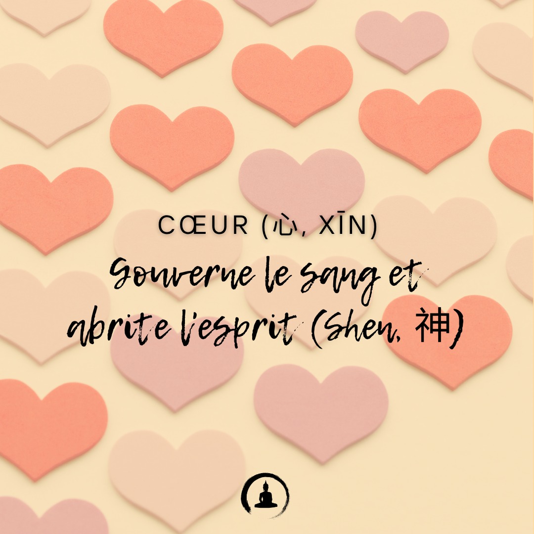 Cœur (心, Xīn) : Gouverne le sang et abrite l'esprit (Shen, 神).
#YangSheng #MedecineChinoise #BienÊtre #MédecineTraditionnelle #QiGong #SantéNaturelle #PhilosophieChinoise #Longévité #MindBodyBalance