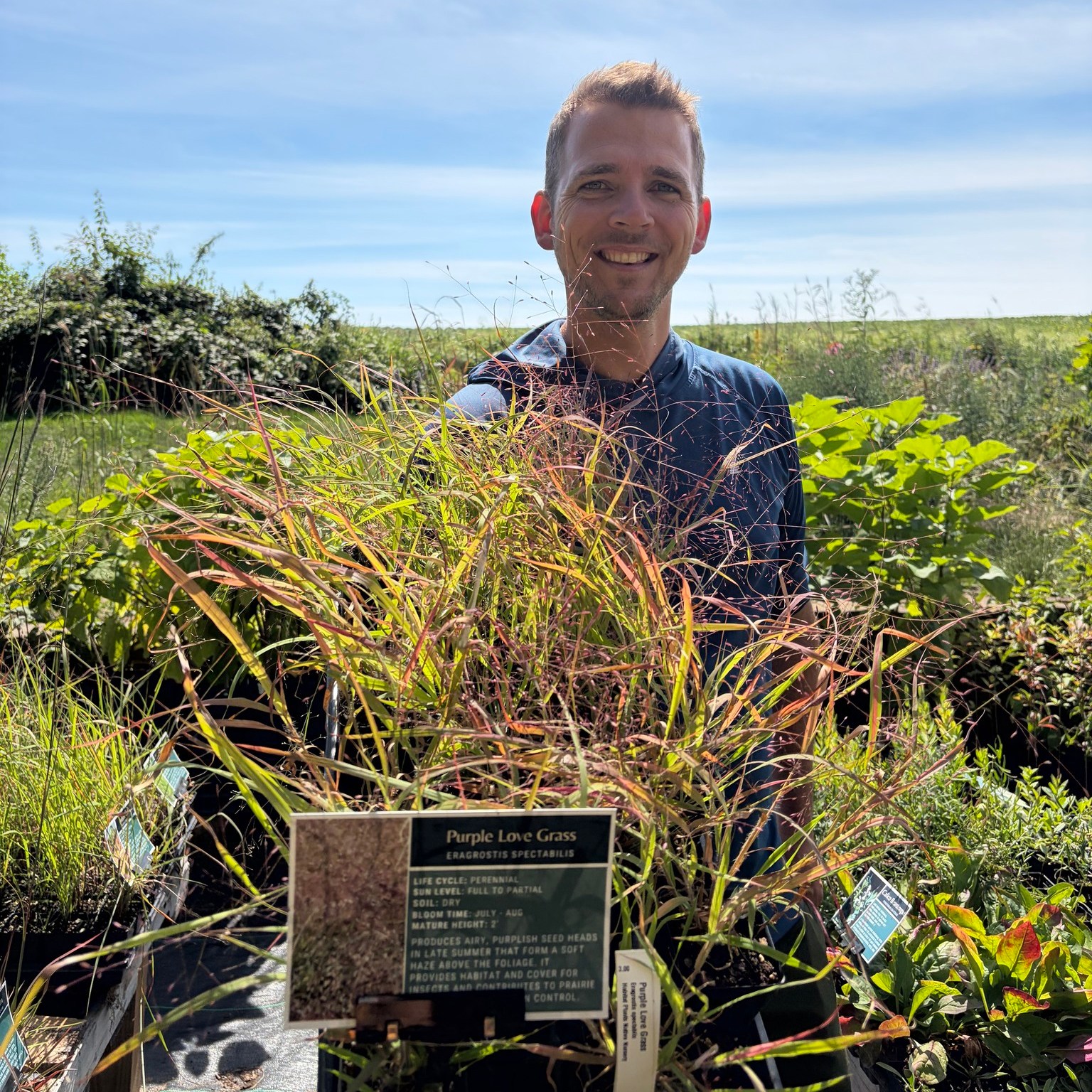 🌱 Back in stock this week! 🌱
Just when you thought we might be winding down… we’ve been busy restocking! 😉
✨ Rose Mallow (a native hibiscus! Can you believe it?! 🌺)
✨ Broom Sedge
✨ Rosy Sedge
✨ Ivory Sedge
✨ Brown Fox Sedge
✨ Tall Bellflower
✨ Purple Love Grass
✨ Black-Eyed Susan
✨ Maidenhair Fern
✨ Jacob’s Ladder
Looking for something specific? Check out our plant list!