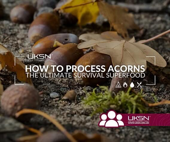 Stop stepping on free calories! 🌰
Did you know the acorns scattered all over your local woods are actually a nutrient-dense survival superfood?
Before you can turn them into tasty flour, coffee, or snacks, you need to leach out the bitter tannins. Check out our latest guide to learn the simple steps for foraging and prepping acorns for your wild pantry!
📖 Read the full article here:
https://www.uksn.org.uk/post/stop-stepping-on-free-calories-how-to-process-acorns-the-ultimate-survival-superfood-hiding-in-pla
#UKSN #BushcraftUK #SurvivalSkills #Foraging #WildEdibles #FreeCalories #AcornProcessing #OutdoorSkills #SelfReliance