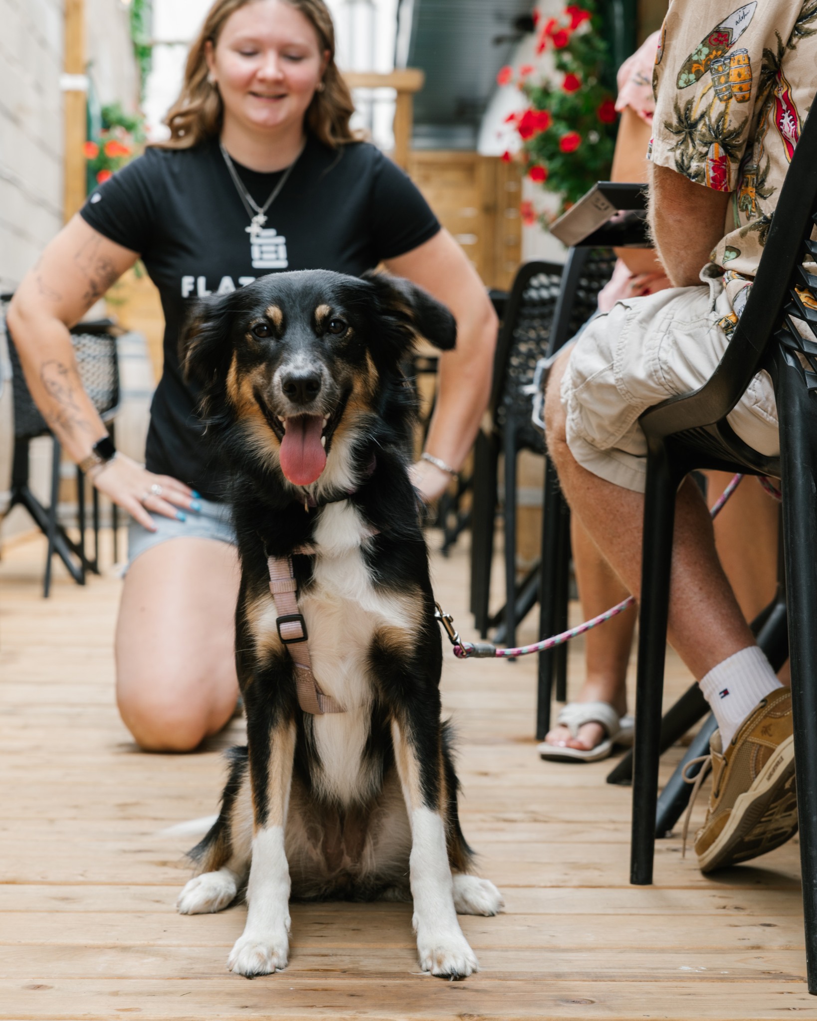 Happy International Dog Day to all the SHED pups! 🐾
Our new patio is officially a place where you can bring the whole crew including the dog. Come by for pizza, cold beer and a little quality time with your favourite sidekick. 🐶🍕