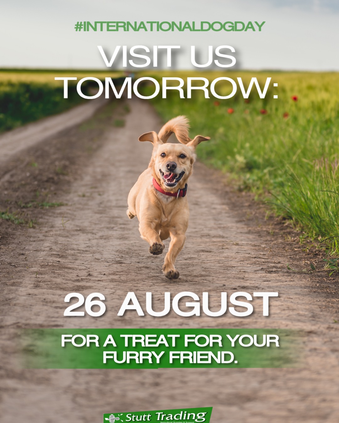Woof! Tomorrow (26 August) is International Dog Day, and our Montego rep is heading in-store to spoil your four-legged besties. Come treat your good boys and girls! 🐶✨