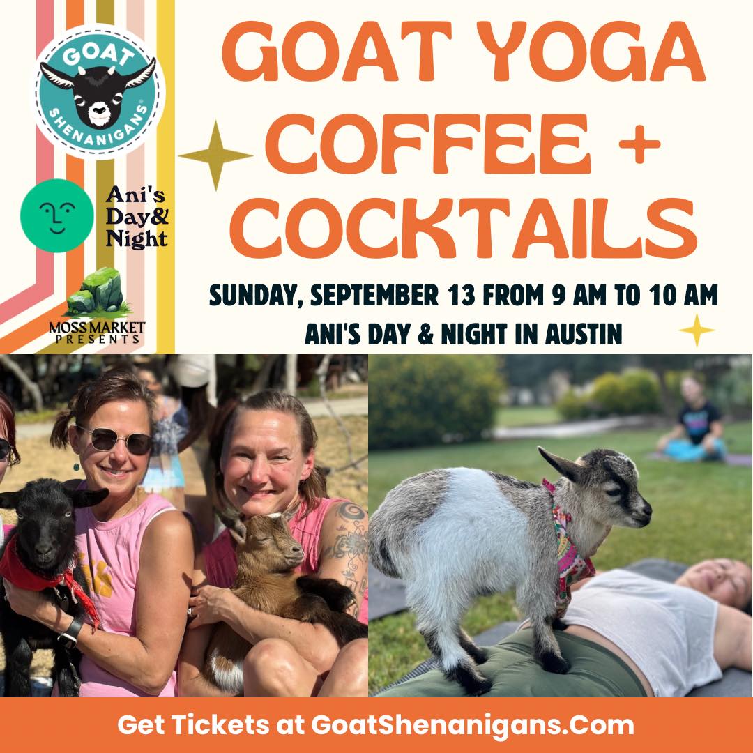 🐐☕🍸 AUSTIN, it's a Sunday Funday but with goats and other goodness!
Join us for Goat Yoga + Coffee & Cocktails at Ani's Day & Night!
Date: Sunday, September 13
Time: 9 AM to 10 AM
We'll have a beginner-friendly yoga class with a crew of the shenanigan-iest mini goats hopping on your back, photobombing your downward dog (goat?), and curling up on your mat for cuddles. After laughing through your morning flow in the best way possible, enjoy a complimentary coffee OR a cocktail from @anisdayandnight. 🌱
Wear something comfy (and goat-proof), bring a friend, pack your camera. In collaboration with @mossmarketatx. 💚
🎟️ Link in Story to grab your ticket before we sell out!
#goatshenanigans #atxevents #austintx