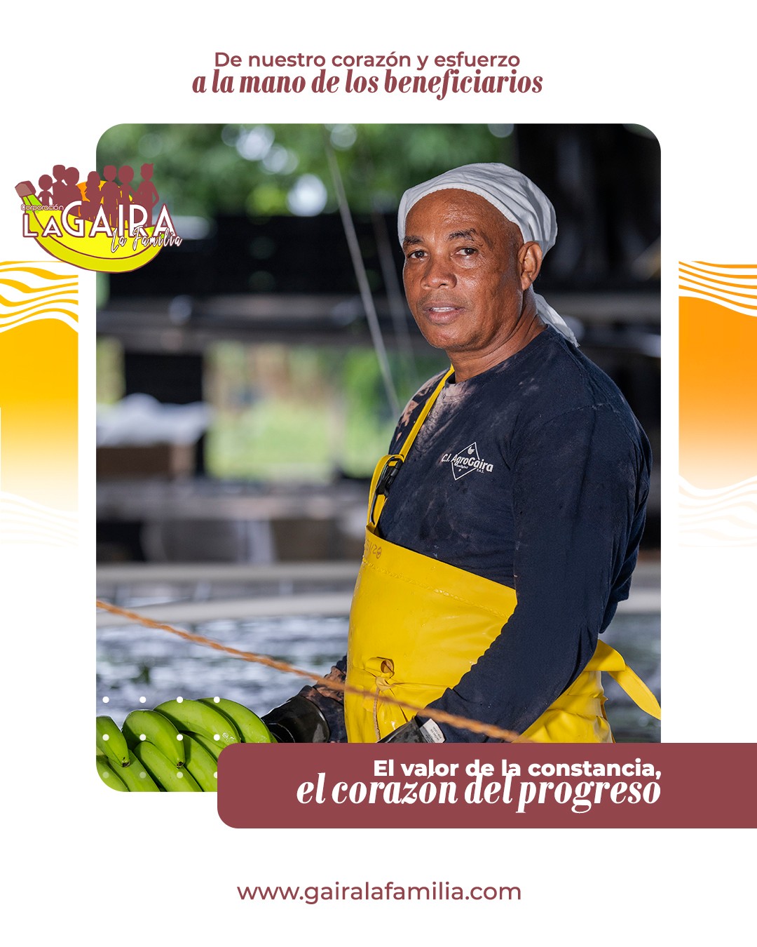 El verdadero corazón de nuestra región late en el esfuerzo diario de su gente. Detrás de cada jornada en el campo hay historias de superación, sueños familiares y un profundo compromiso con salir adelante.
Es esa entrega la que nos inspira cada día. Al administrar los recursos del Comercio Justo, nuestro mayor propósito es transformar todo ese esfuerzo de nuestros corporados en bienestar colectivo: apoyando la salud, fortaleciendo el tejido social y creando oportunidades para que sus familias puedan vivir cada vez mejor.
El valor de la constancia, el corazón del progreso. 💛🍌
#ComercioJusto #PrimaFairtrade #UrabáBananero #BienestarFamiliar #DesarrolloSocial