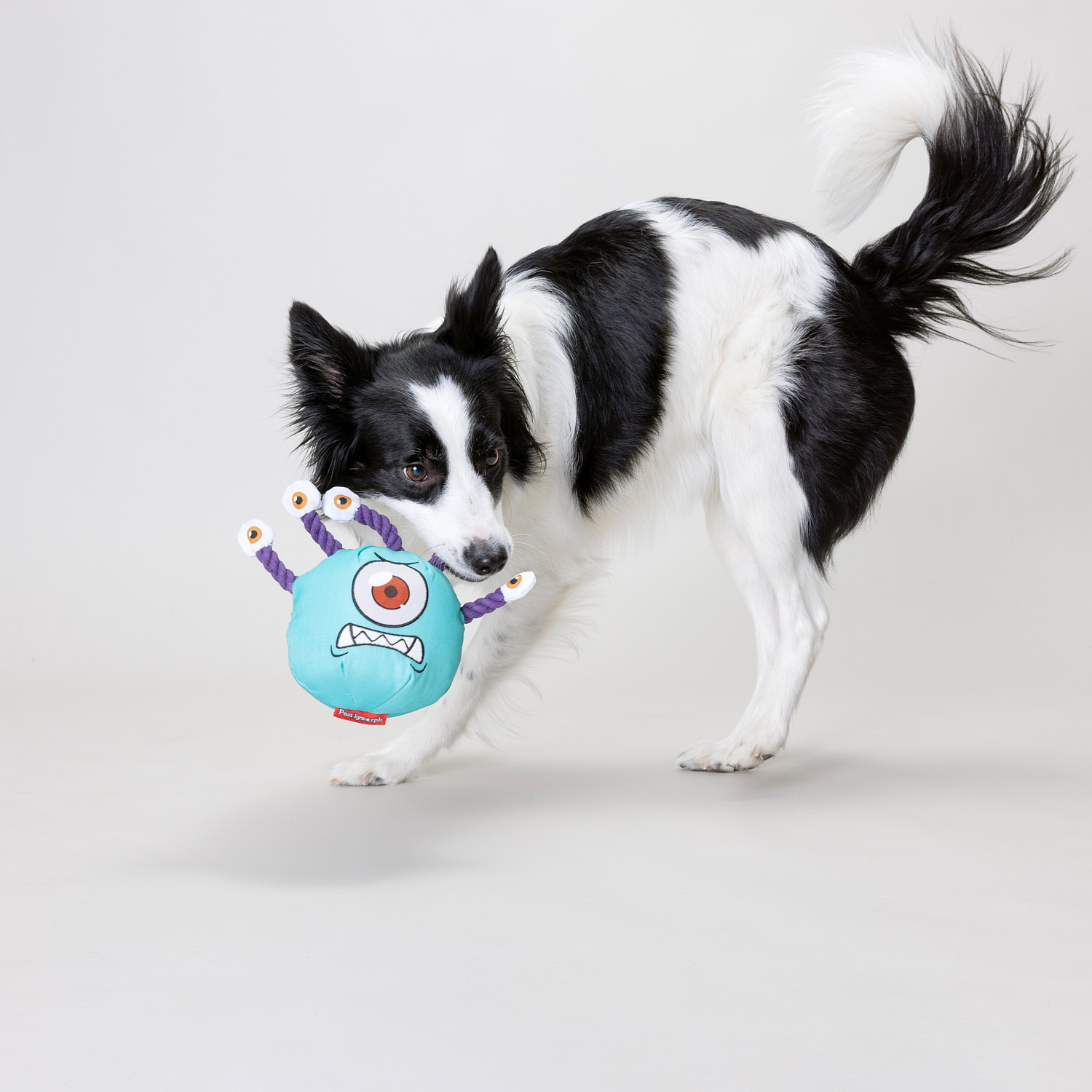 Our Beslobber isn't just a foe for your pet to battle, but also a secret holder, only revealed upon vanquishing him. Has your pet discovered what lies within?
#pawlymorph #beslobber #pettoys ##dogtoys